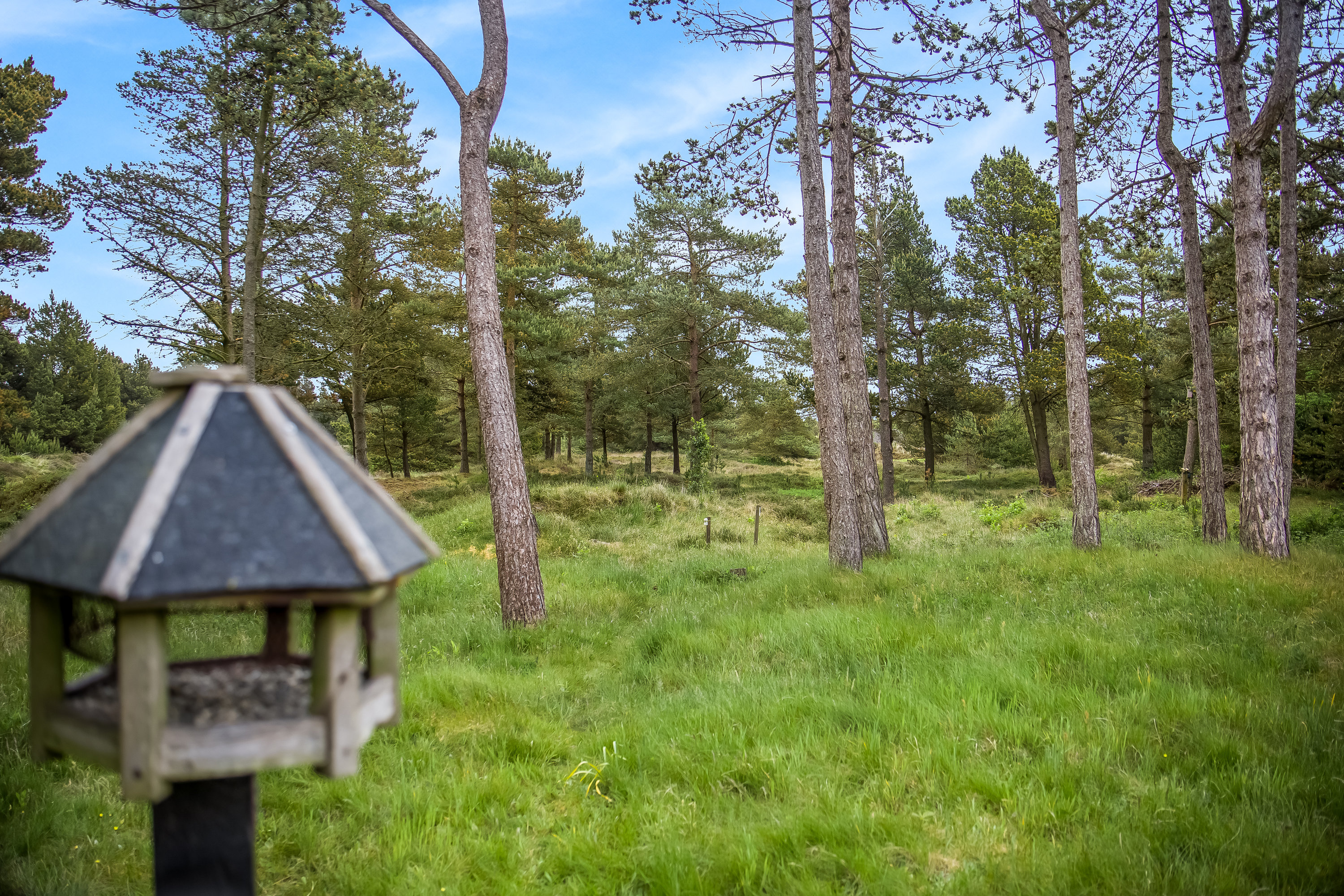 Fremhævet udsigt billede i fuldskærmstilstand. Billede af Havnebyvej 161, Kirkeby, 6792 Rømø