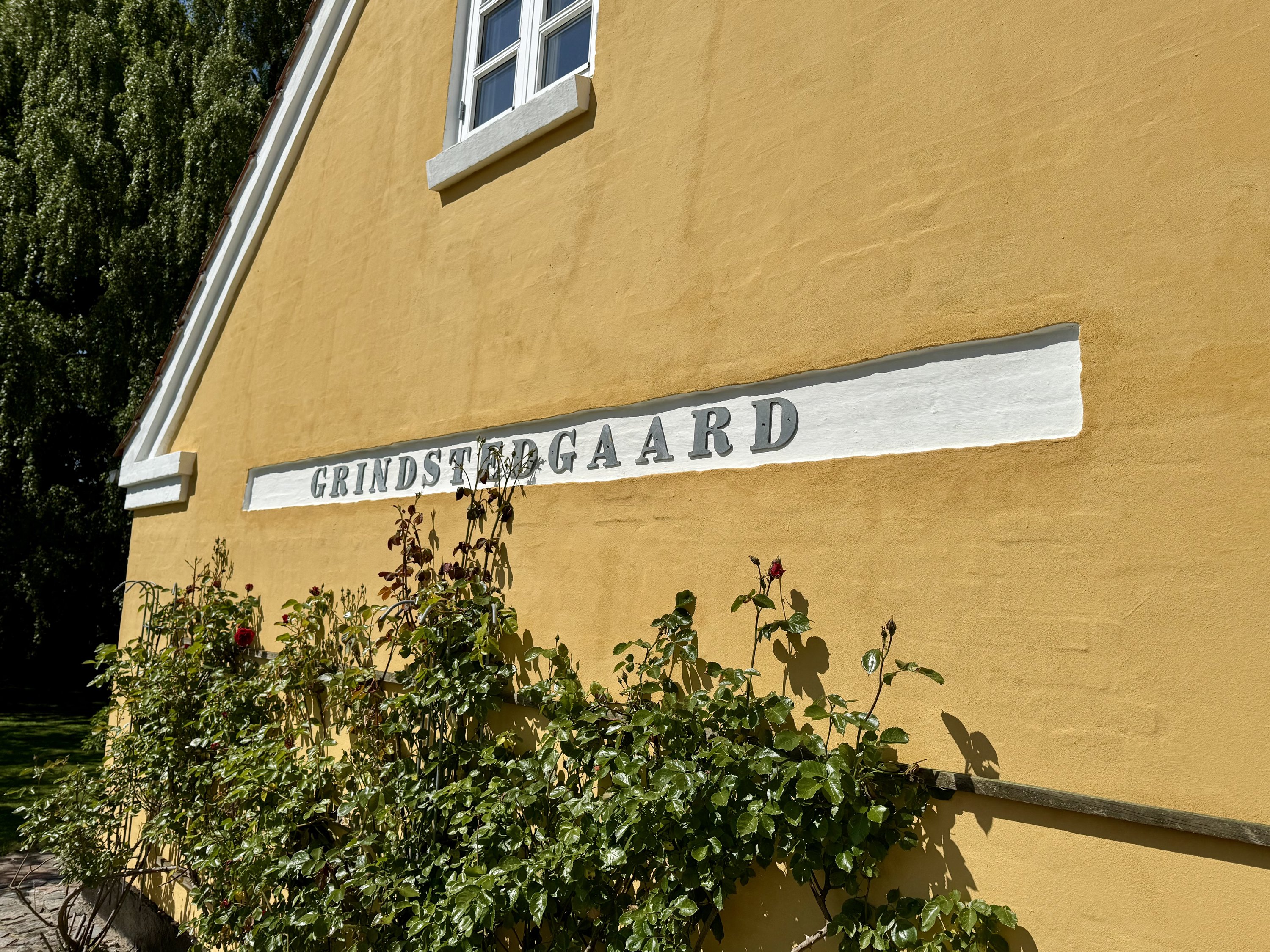 Fremhævet  billede i fuldskærmstilstand. Billede af Espelunden 3A, Grindsted, 9310 Vodskov
