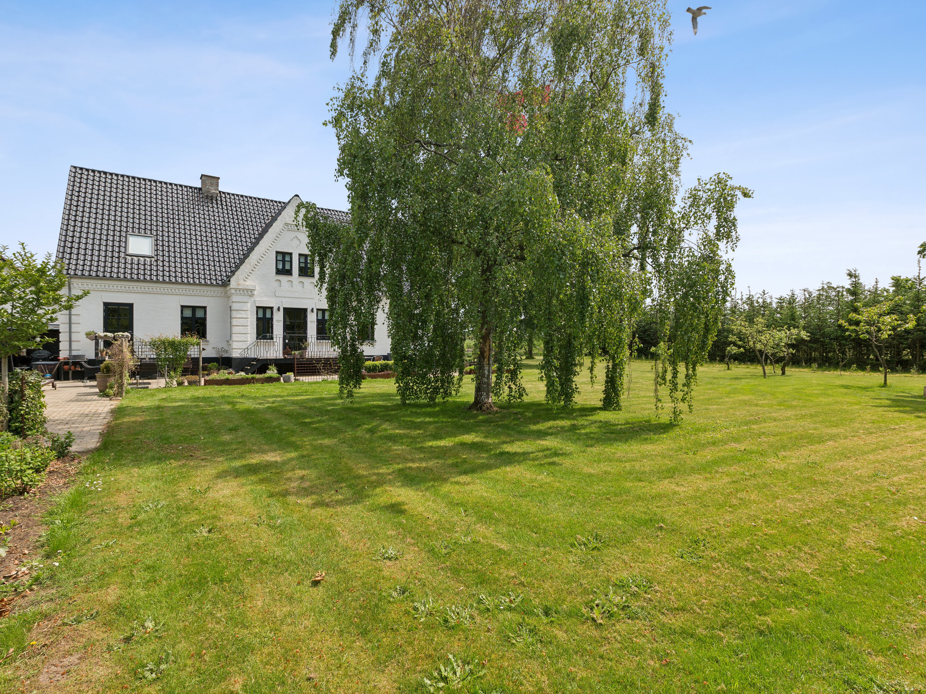 Fremhævet set fra haven billede i fuldskærmstilstand. Billede af Ålborgvej 281, 9800 Hjørring