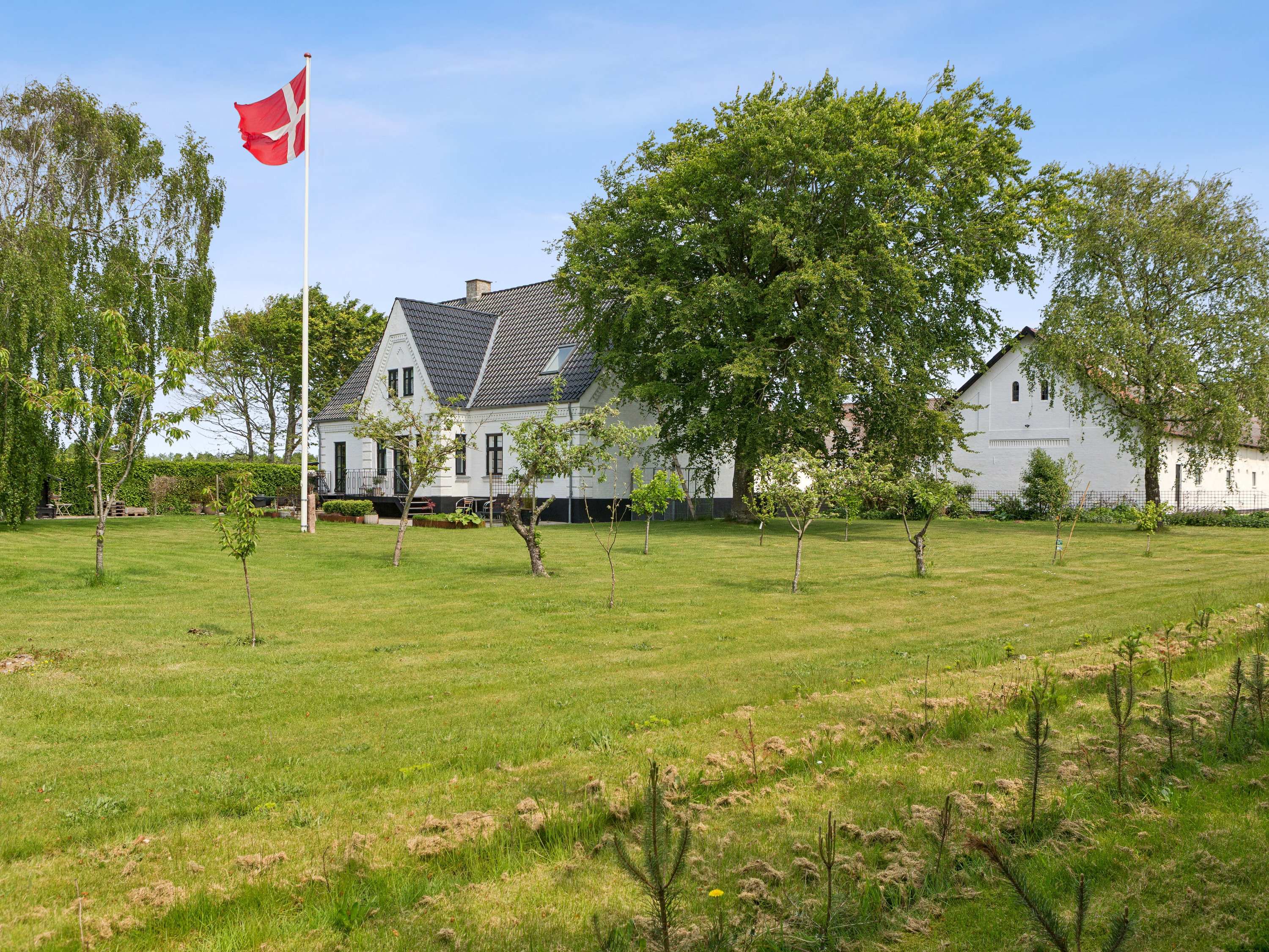 Fremhævet set fra haven billede i fuldskærmstilstand. Billede af Ålborgvej 281, 9800 Hjørring