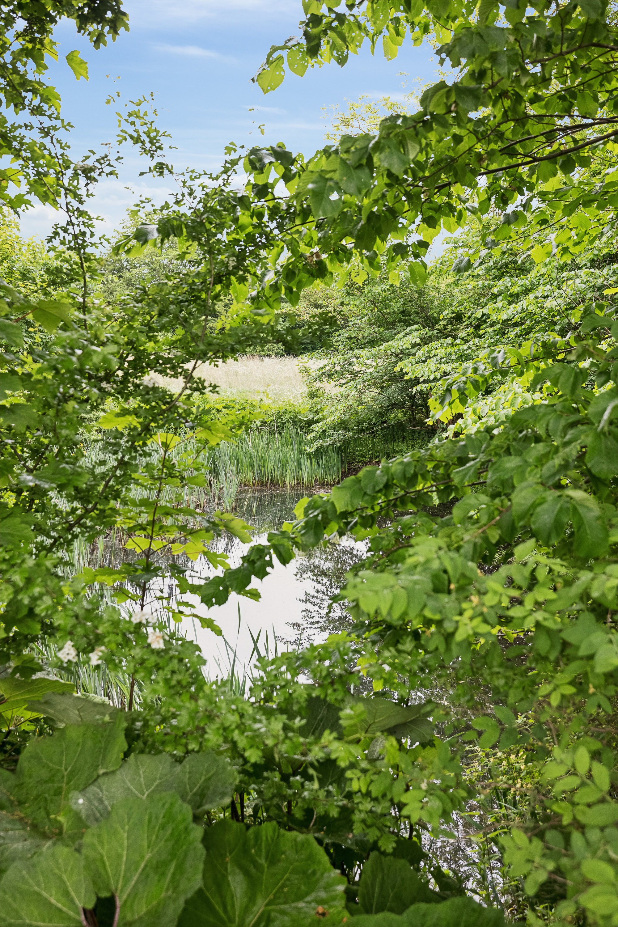 Horstvedvej 13, Ilbjerg, 8560 Kolind