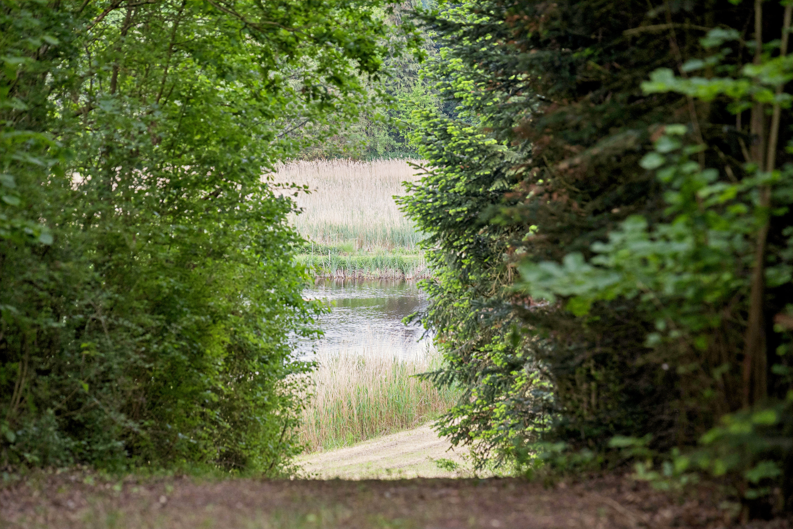 Fremhævet have billede i fuldskærmstilstand. Billede af Askhøjvej 44, Albøge, 8570 Trustrup