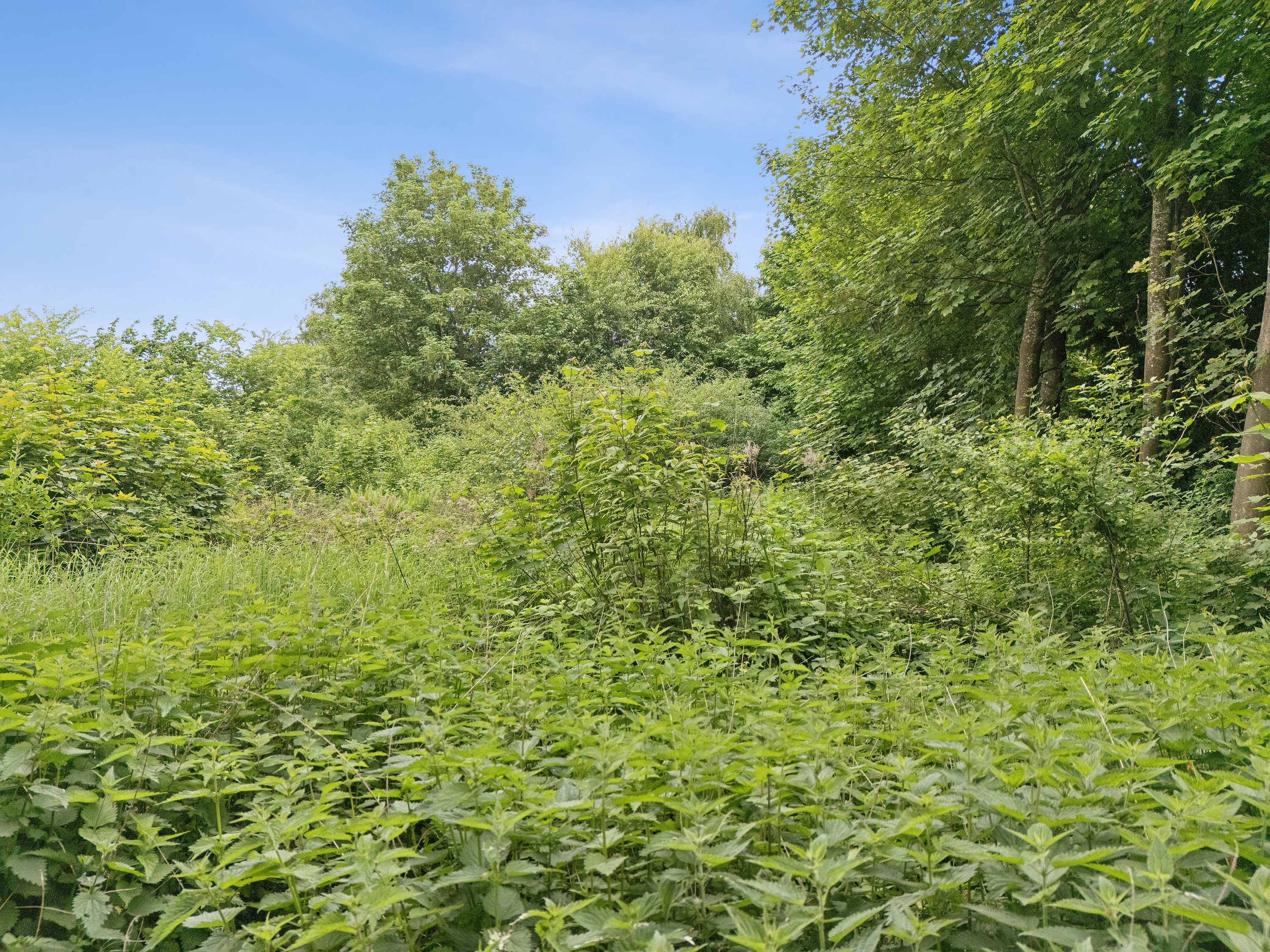Troldestien 1, Kårup, 4540 Fårevejle