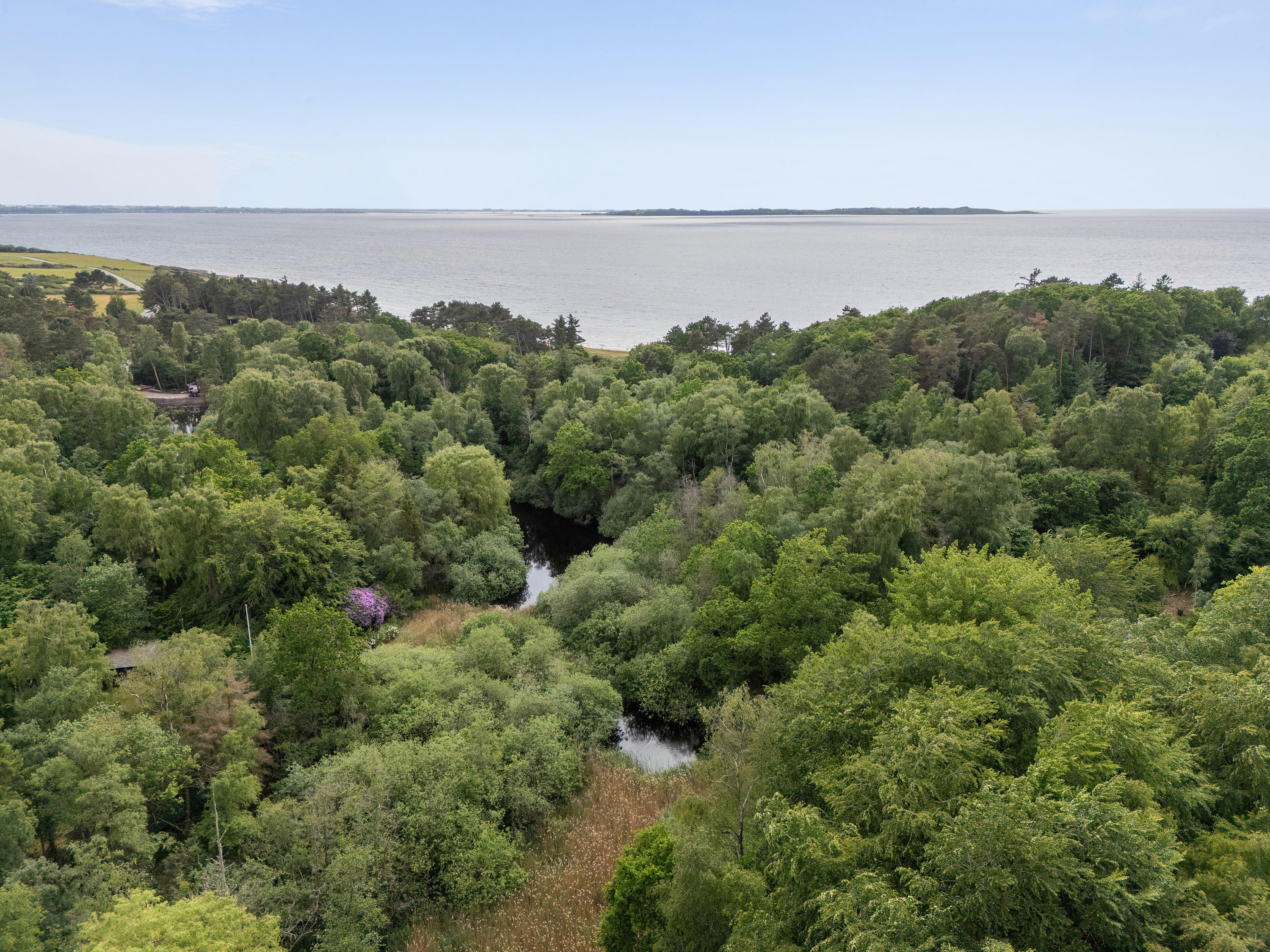 Fremhævet luftfoto billede i fuldskærmstilstand. Billede af Knarbo Mose 3, Kårup Skov, 4540 Fårevejle