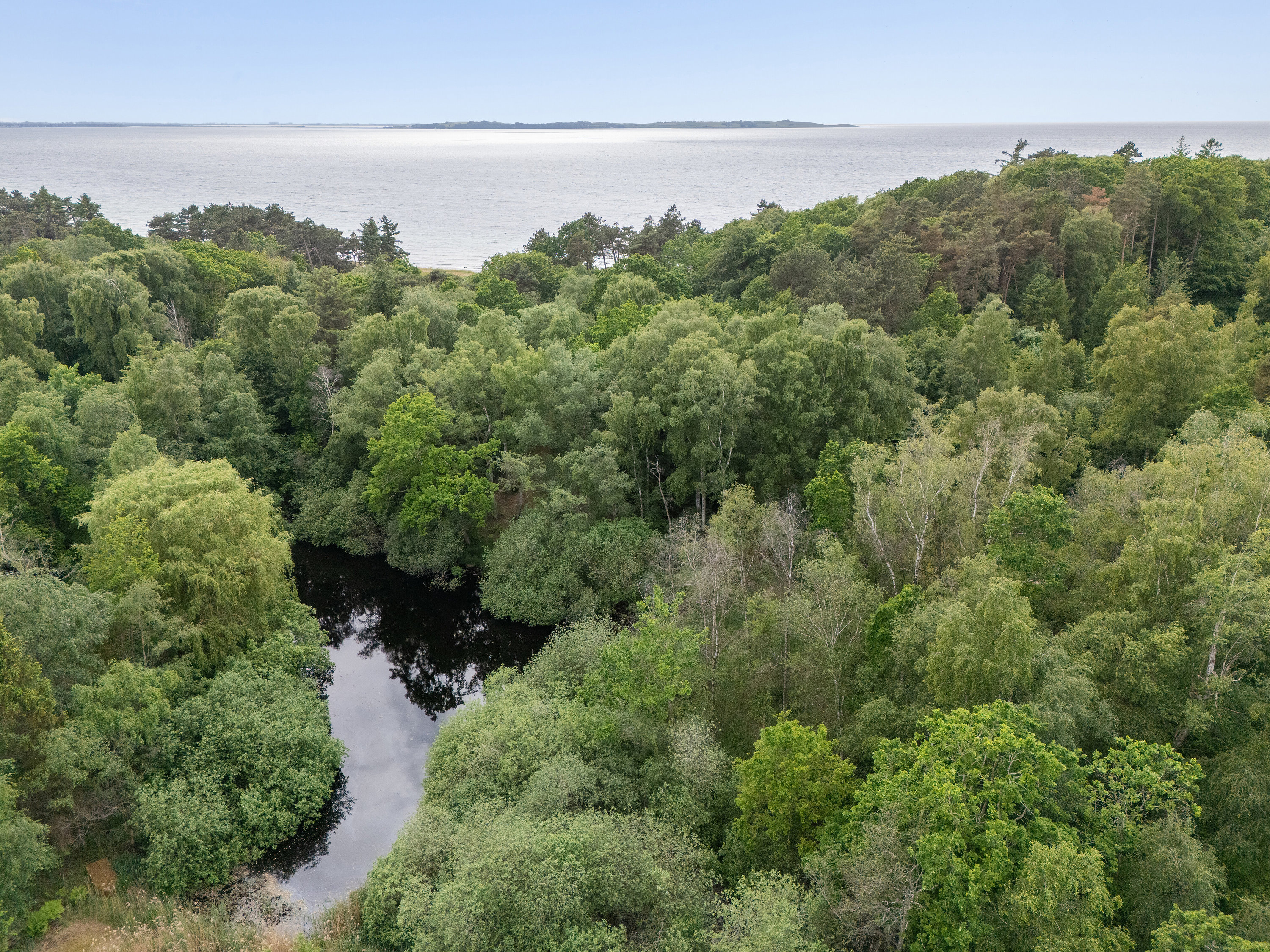 Fremhævet luftfoto billede i fuldskærmstilstand. Billede af Knarbo Mose 3, Kårup Skov, 4540 Fårevejle