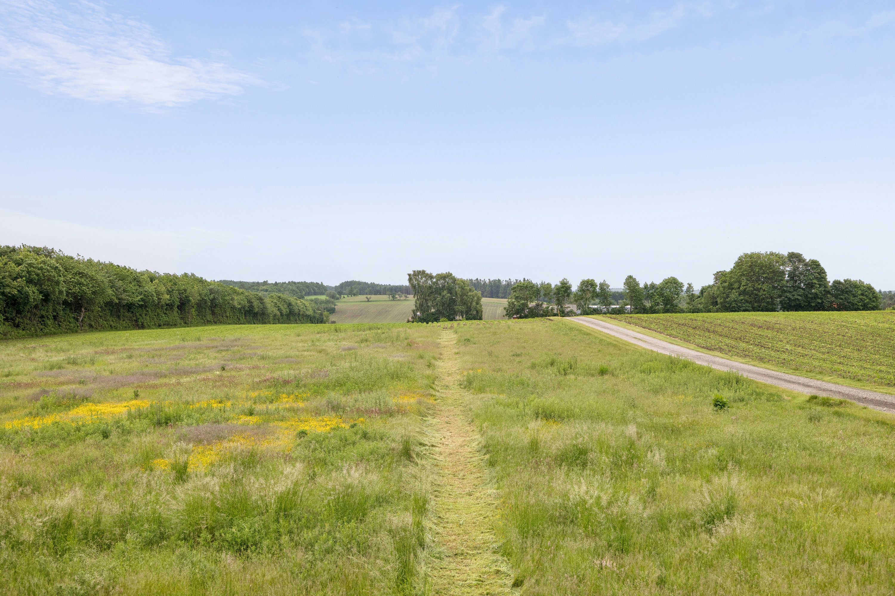 Fremhævet omgivelser billede i fuldskærmstilstand. Billede af Holmedal 8, Voerladegård, 8660 Skanderborg