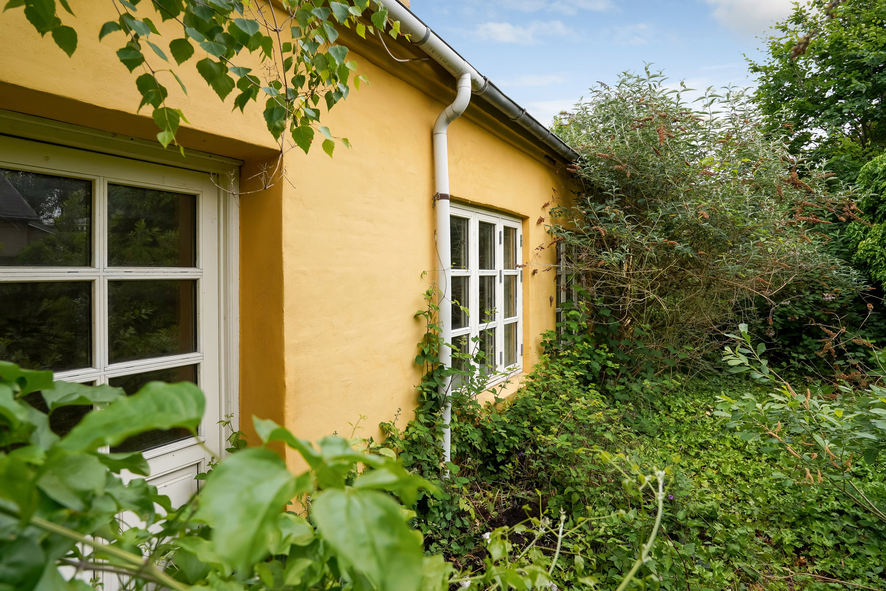Fremhævet have billede i fuldskærmstilstand. Billede af Krudthusgade 13, 5000 Odense C