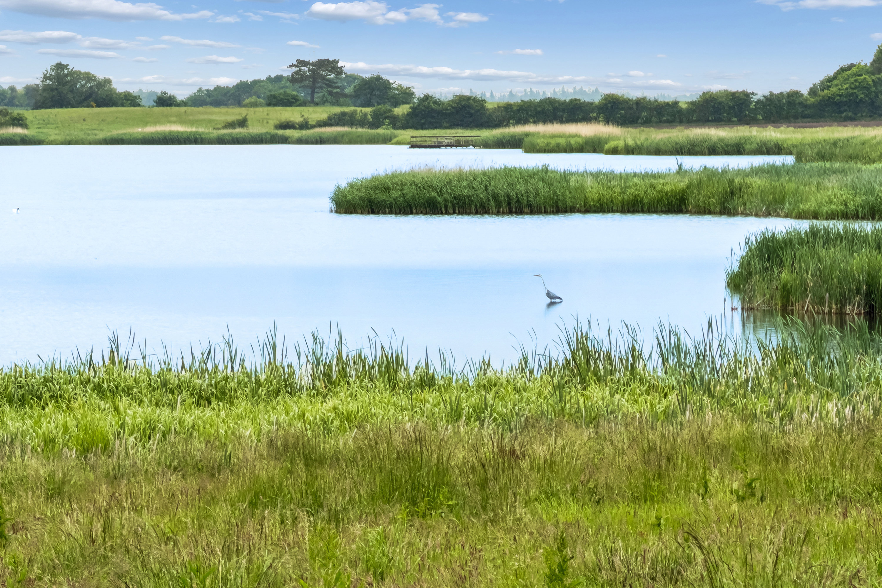 Gammelstrupvej 12, 8831 Løgstrup