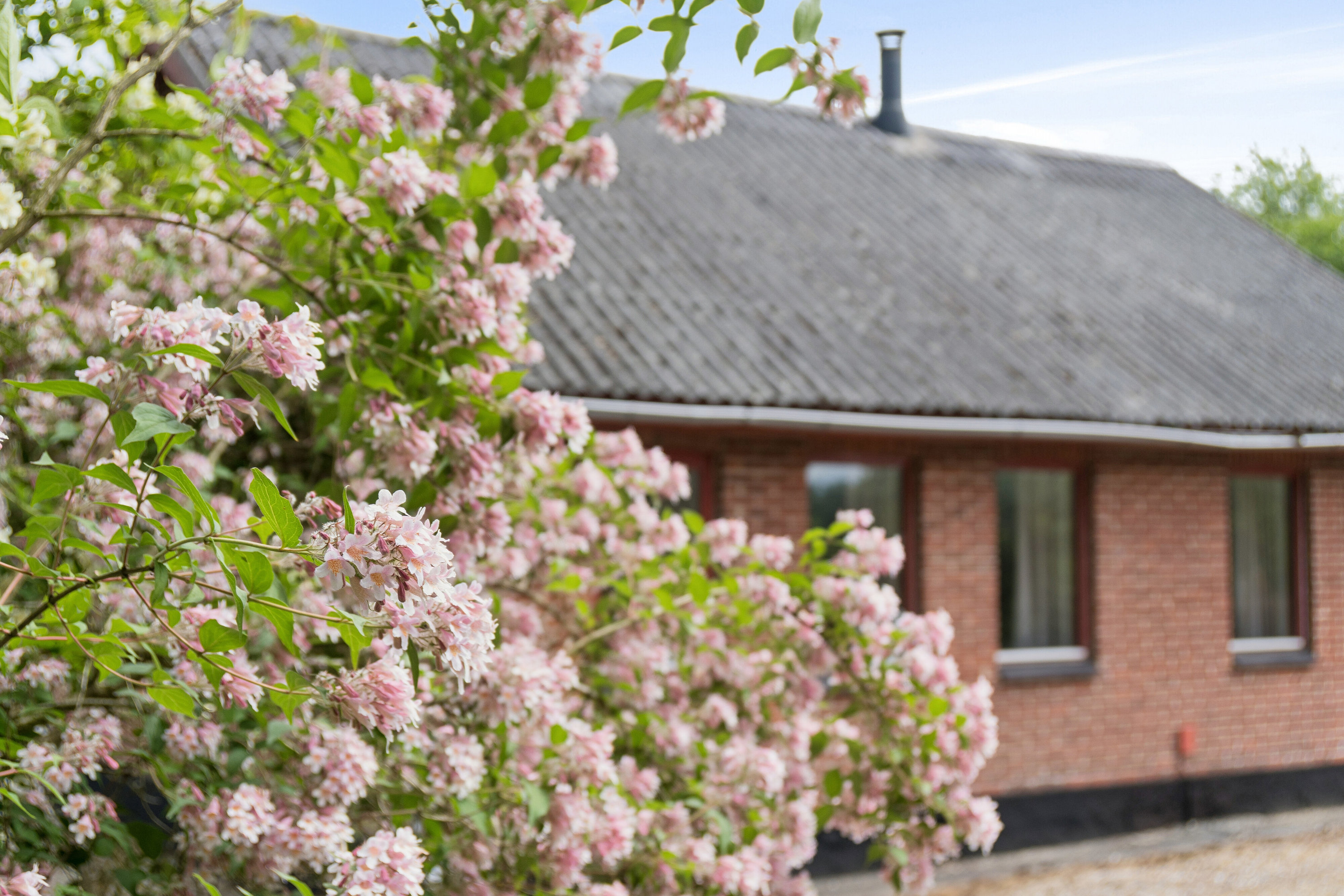 Fremhævet set fra haven billede i fuldskærmstilstand. Billede af Nørskovlundvej 57, Illerhuse, 8643 Ans By