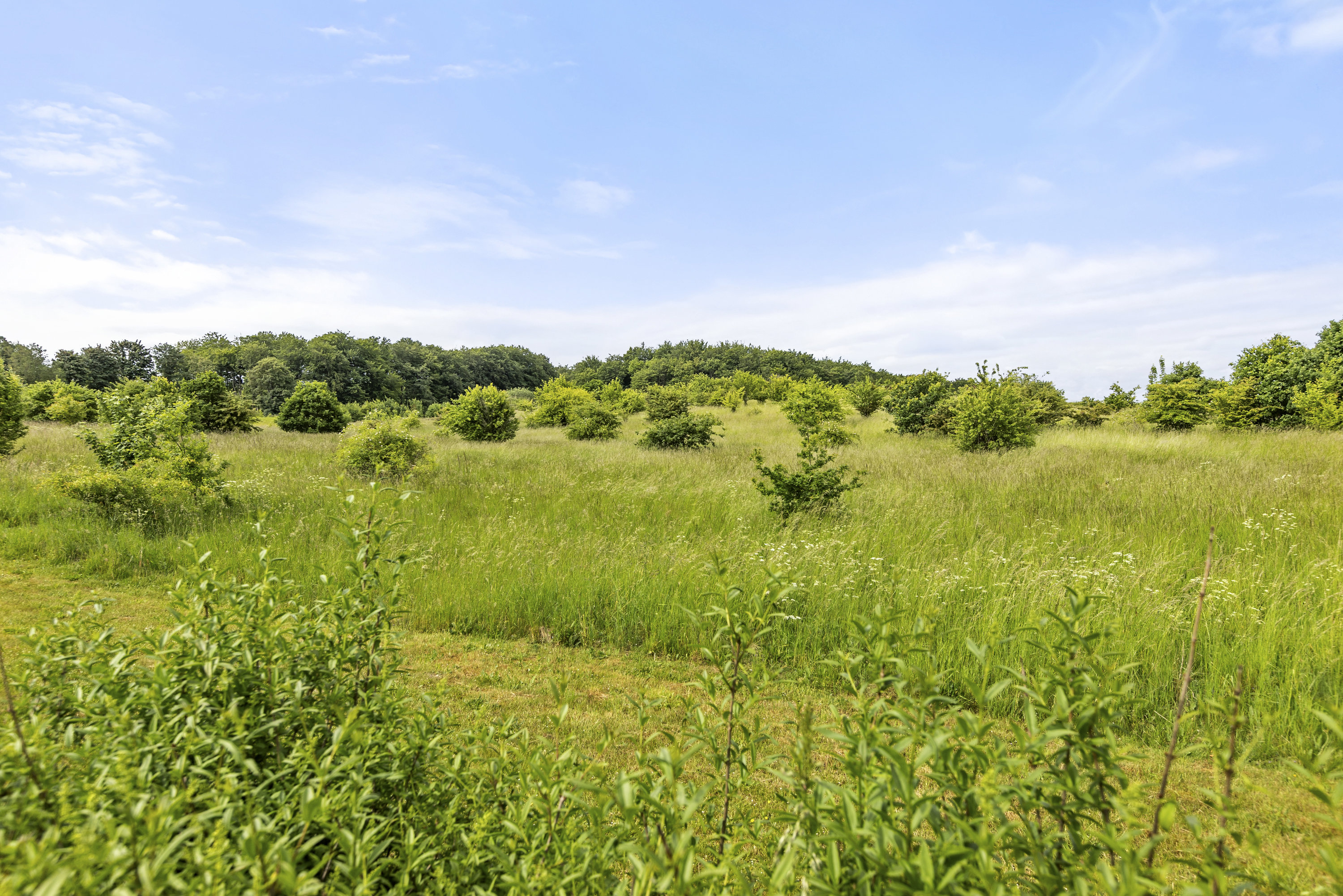 Engstien 42, 4180 Sorø