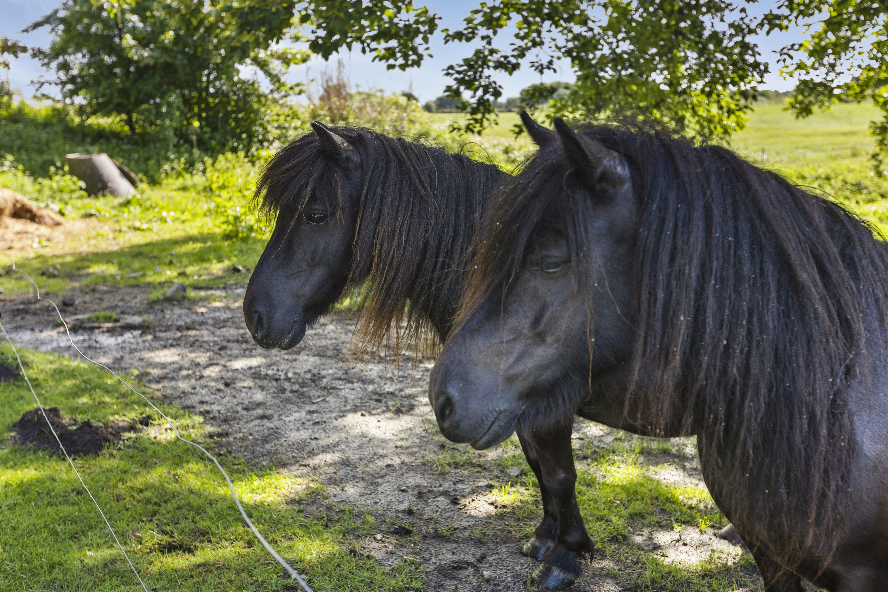 Fremhævet område billede i fuldskærmstilstand. Billede af Undelevvej 22, Lundtoft, 6200 Aabenraa