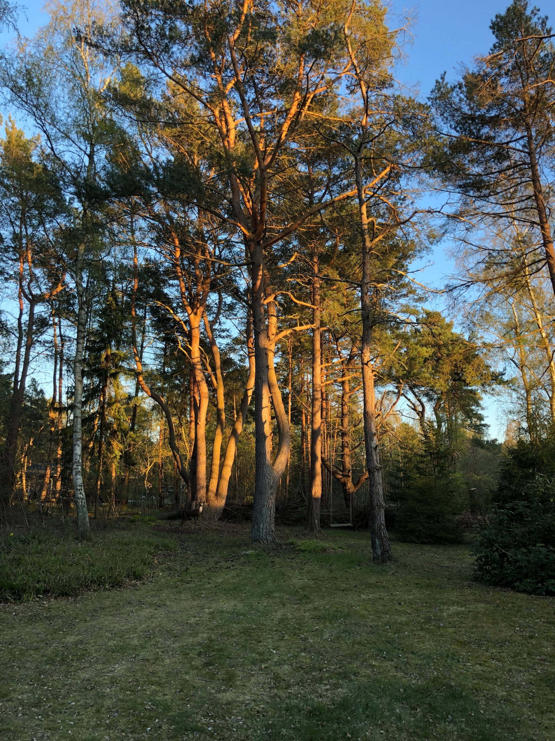Provisorvej 18, 4500 Nykøbing Sj