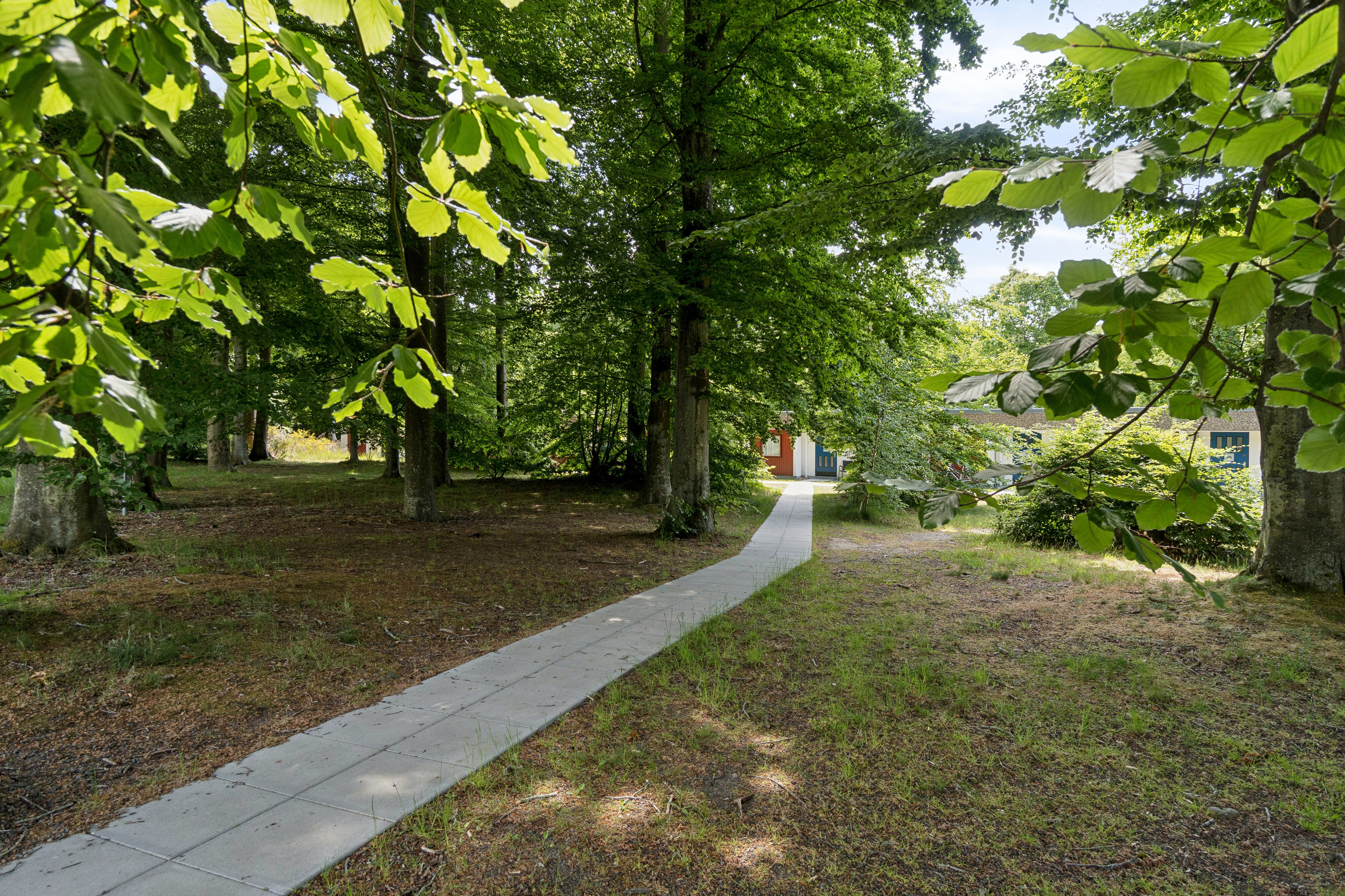 Fremhævet udendørs billede i fuldskærmstilstand. Billede af Hasle Feriepark 36, 3790 Hasle