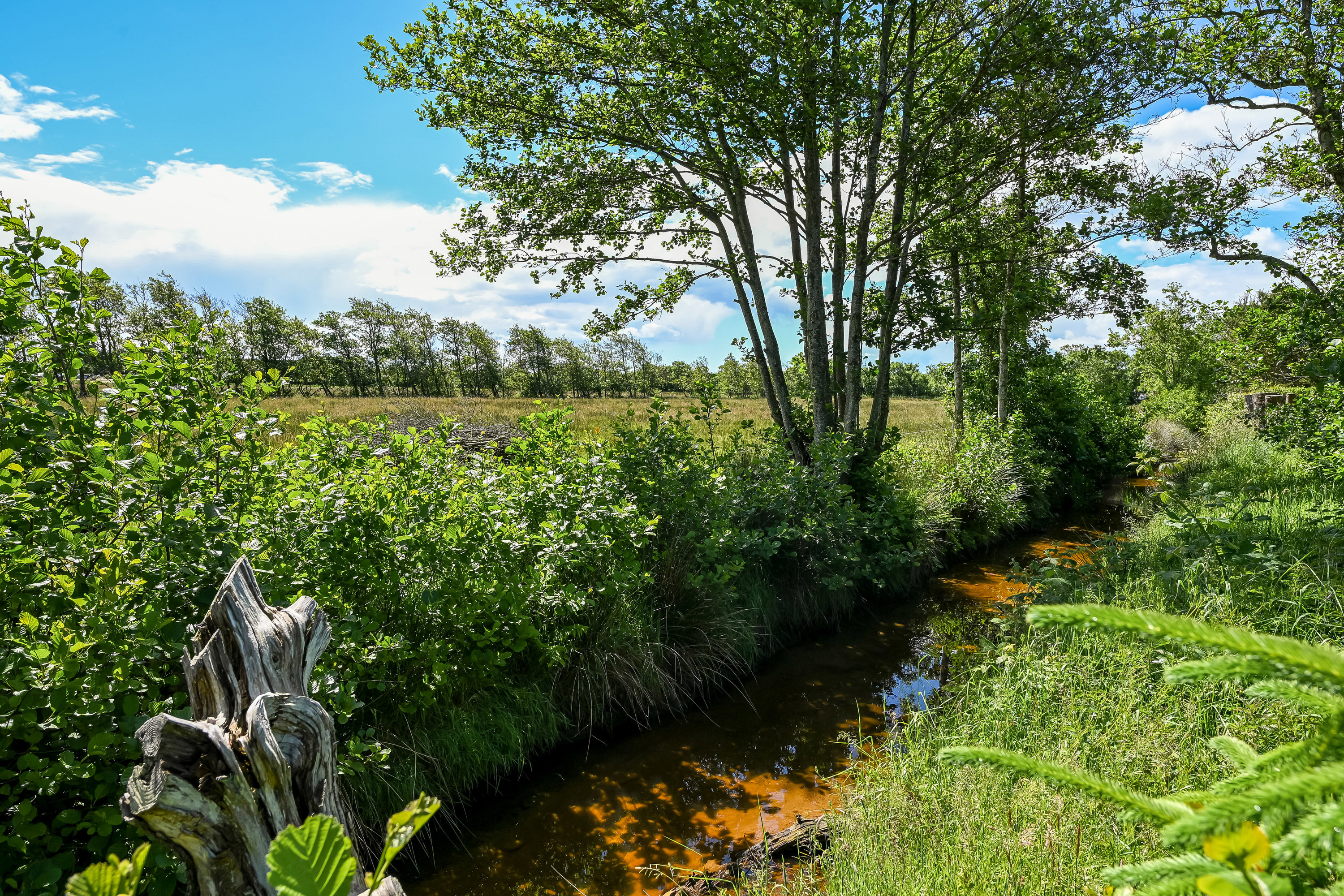 Grønnevej 15, 6857 Blåvand