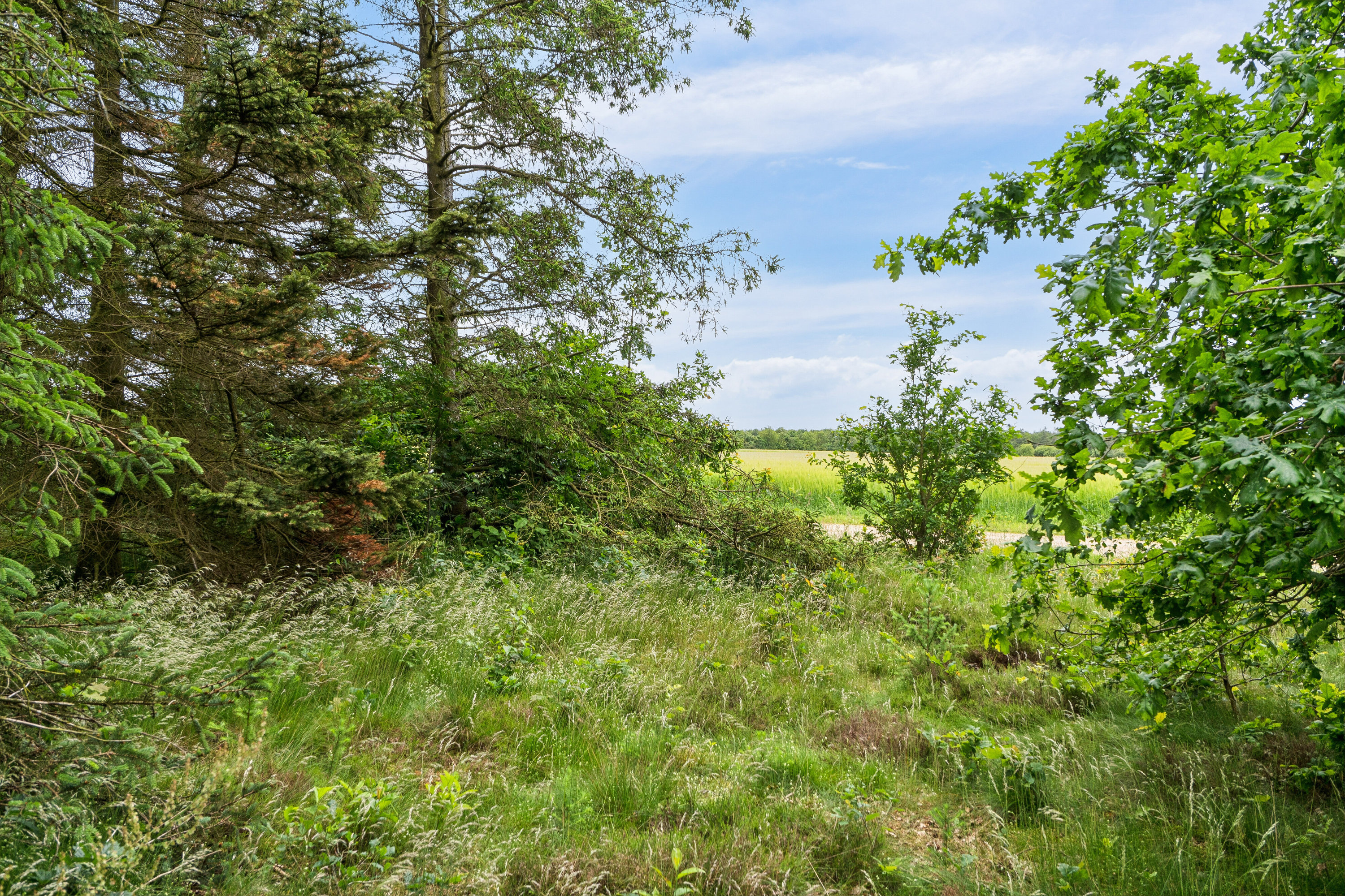 Hedevej 25, 7441 Bording