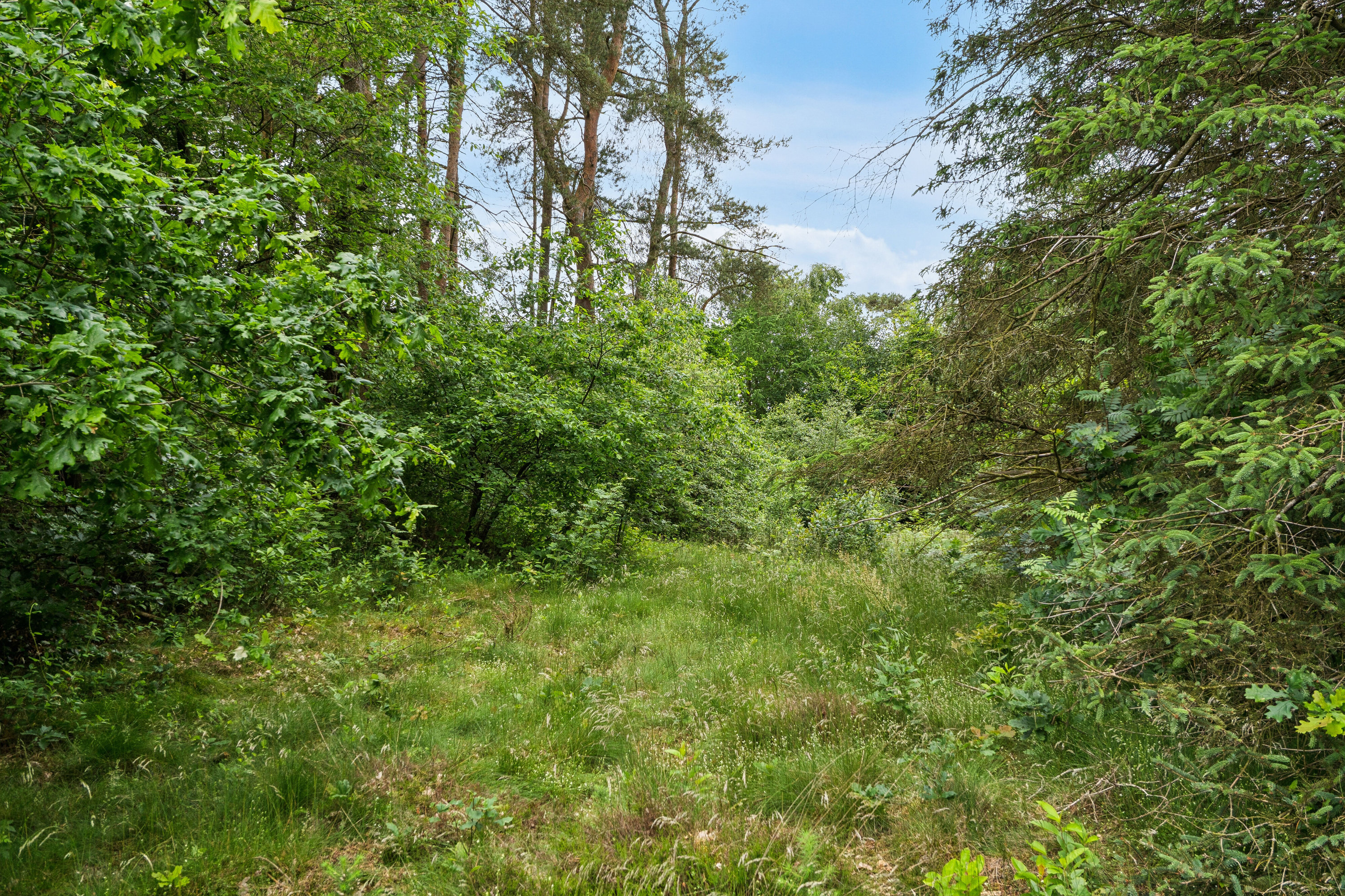 Hedevej 25, 7441 Bording