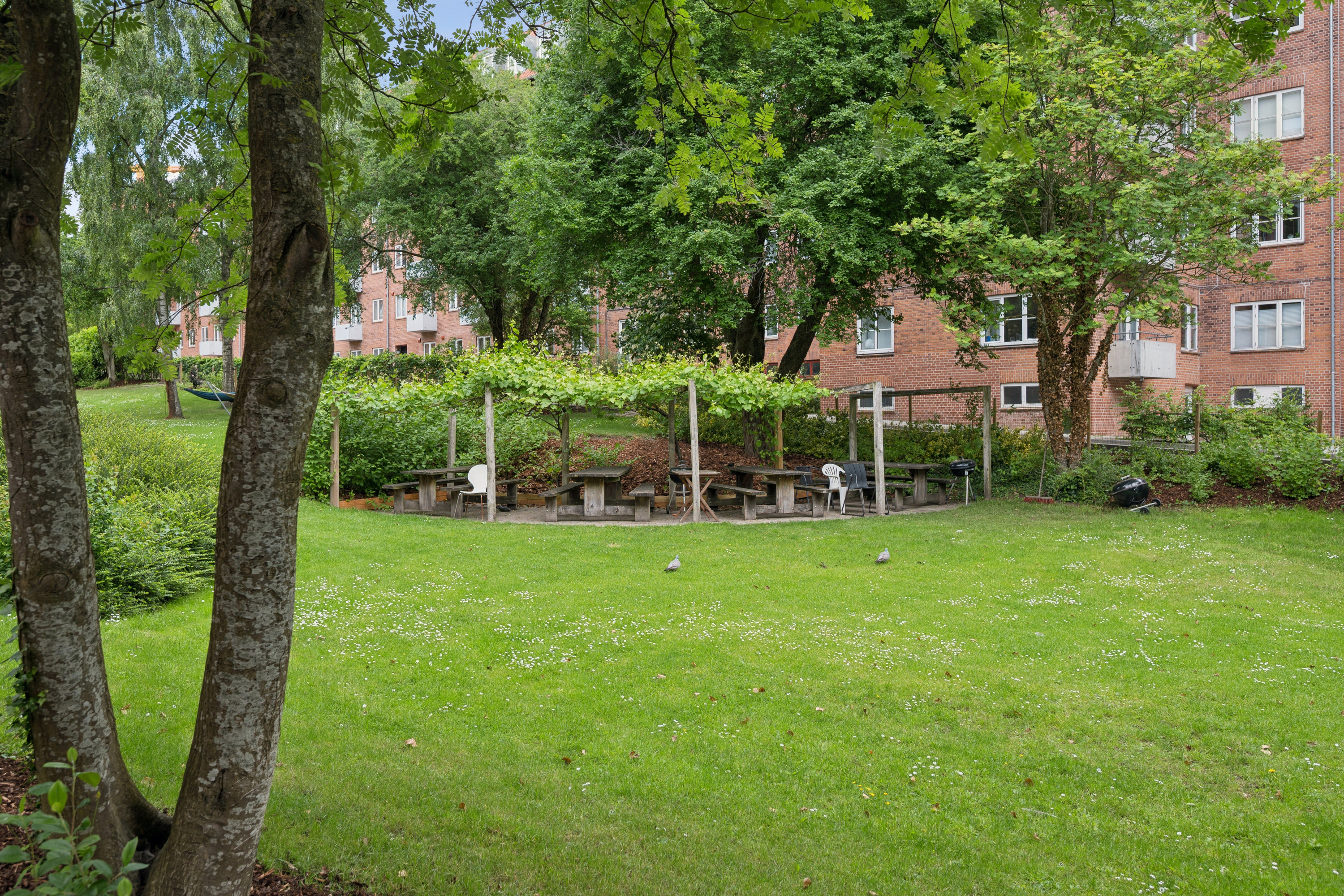 Fremhævet omgivelser billede i fuldskærmstilstand. Billede af Vestre Ringgade 66, 2. th., 8000 Aarhus C