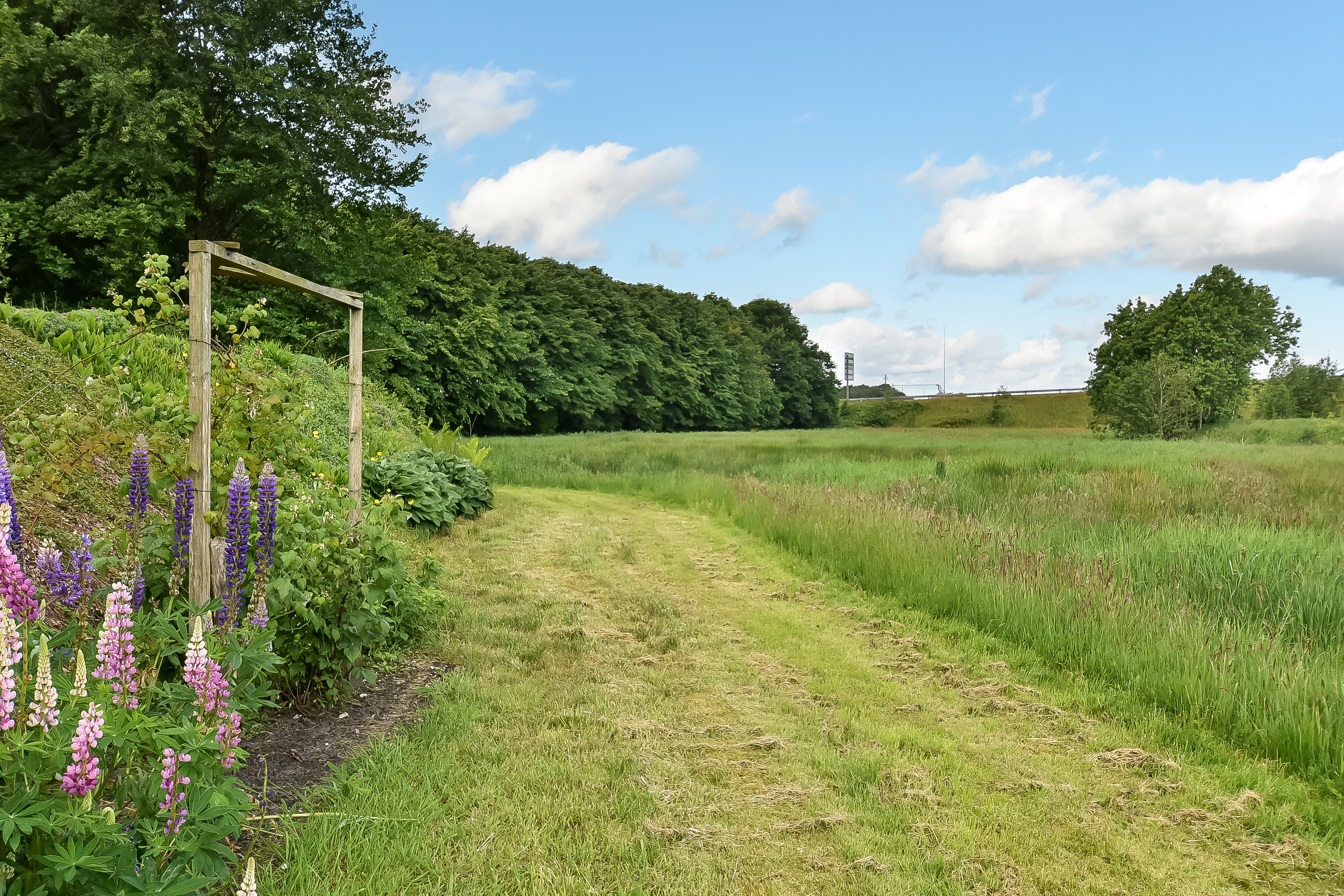 Fremhævet marker billede i fuldskærmstilstand. Billede af Vesterlindvej 38, 7400 Herning