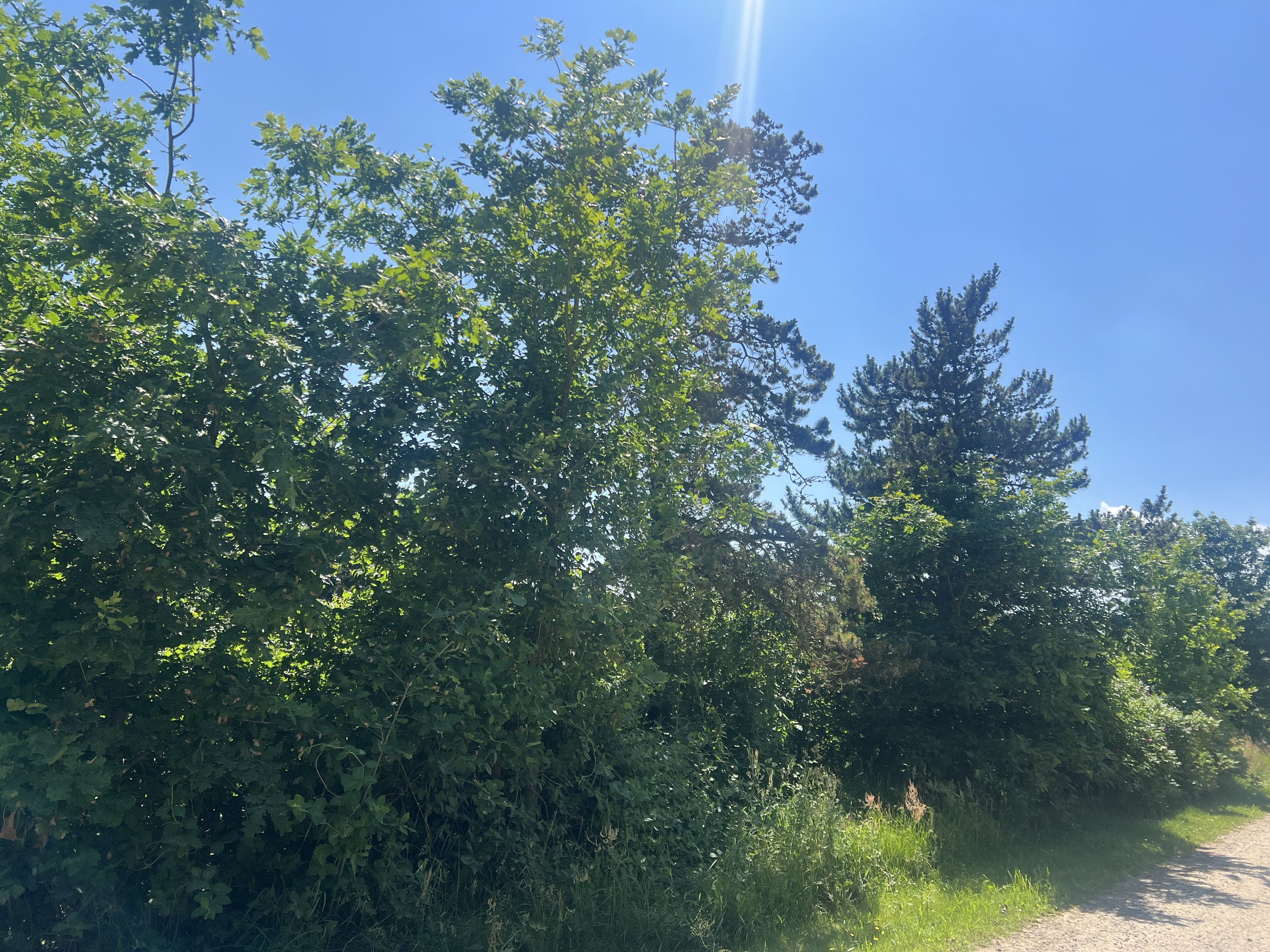Syrenvej 17, Stauning, 6900 Skjern