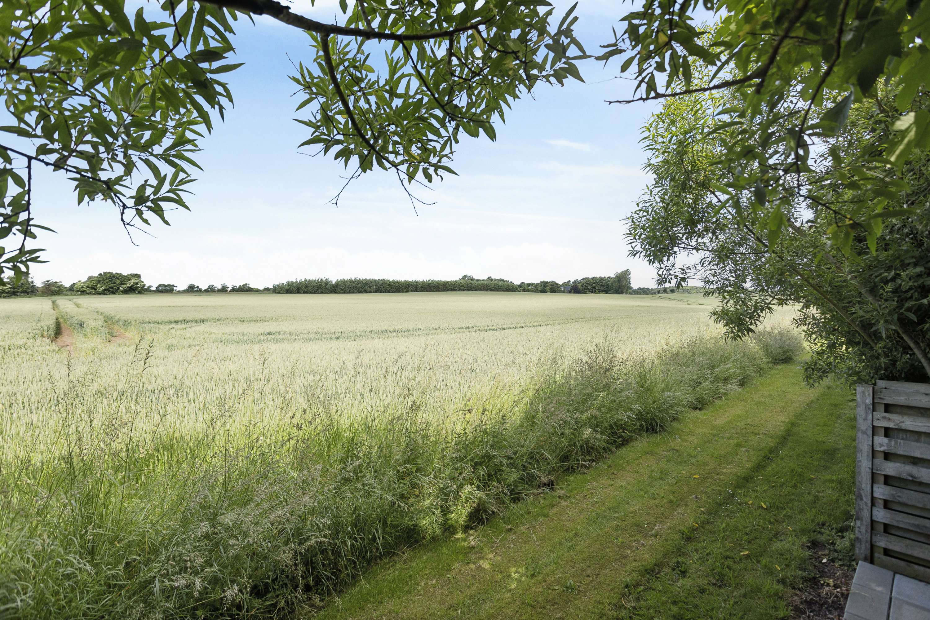 Fremhævet område billede i fuldskærmstilstand. Billede af Vilsgårdsmark 11, Mollerup, 7900 Nykøbing M