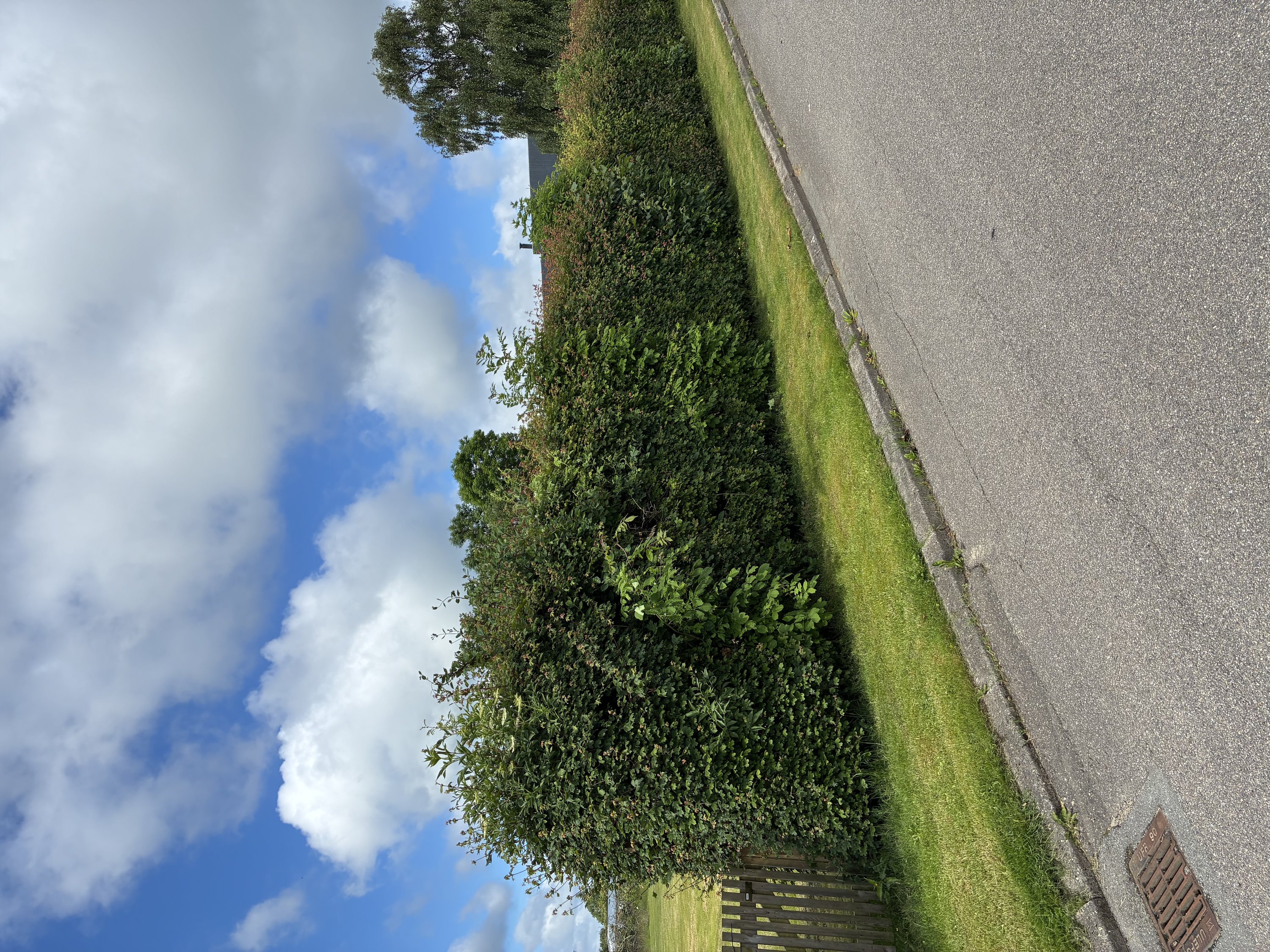 Vindevej 61+63, 7800 Skive