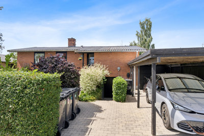 Hededammen 7