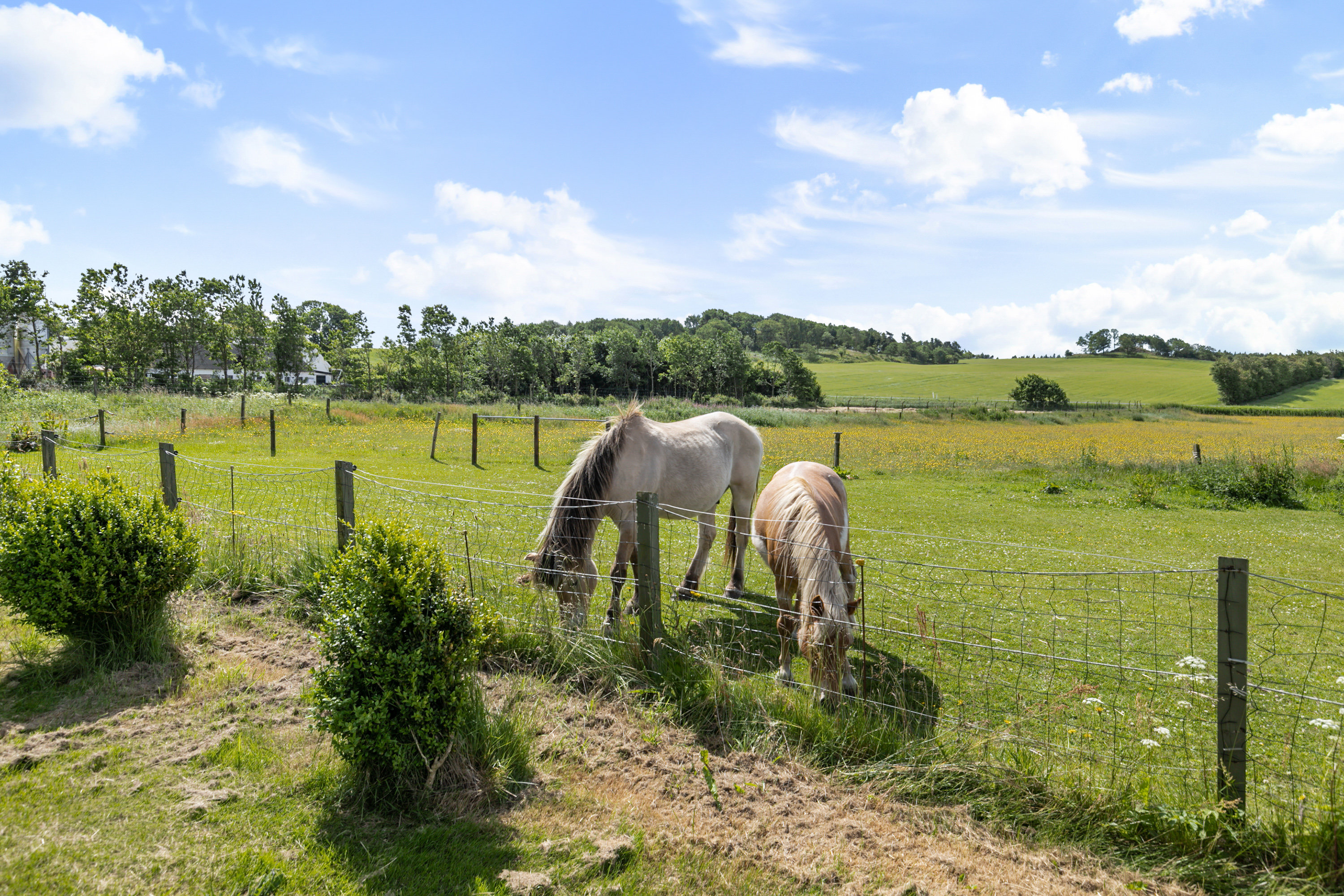 Gunderupvej 32, Tandrup, 9640 Farsø