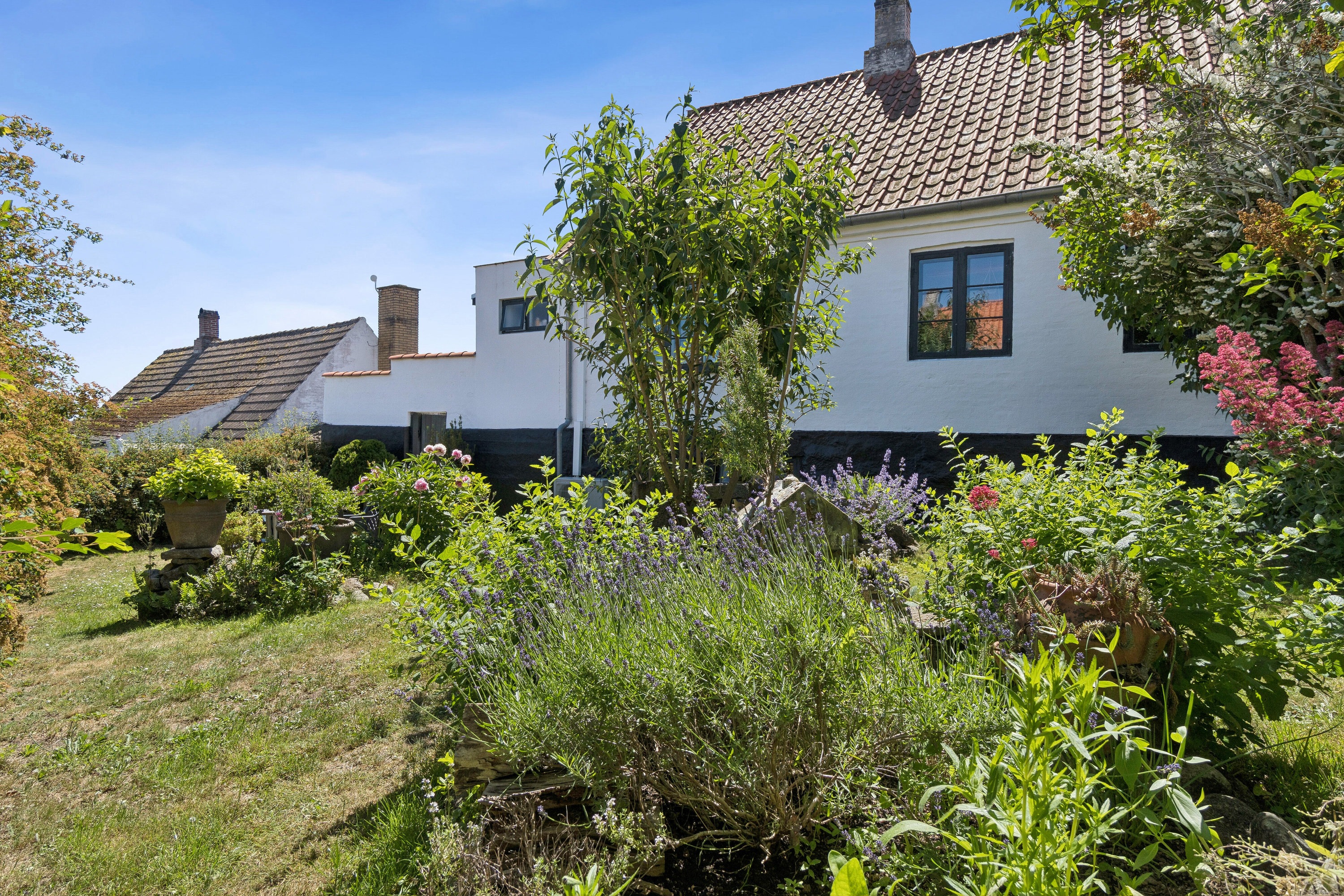 Fremhævet set fra haven billede i fuldskærmstilstand. Billede af Gaden 37, Aarsdale, 3740 Svaneke
