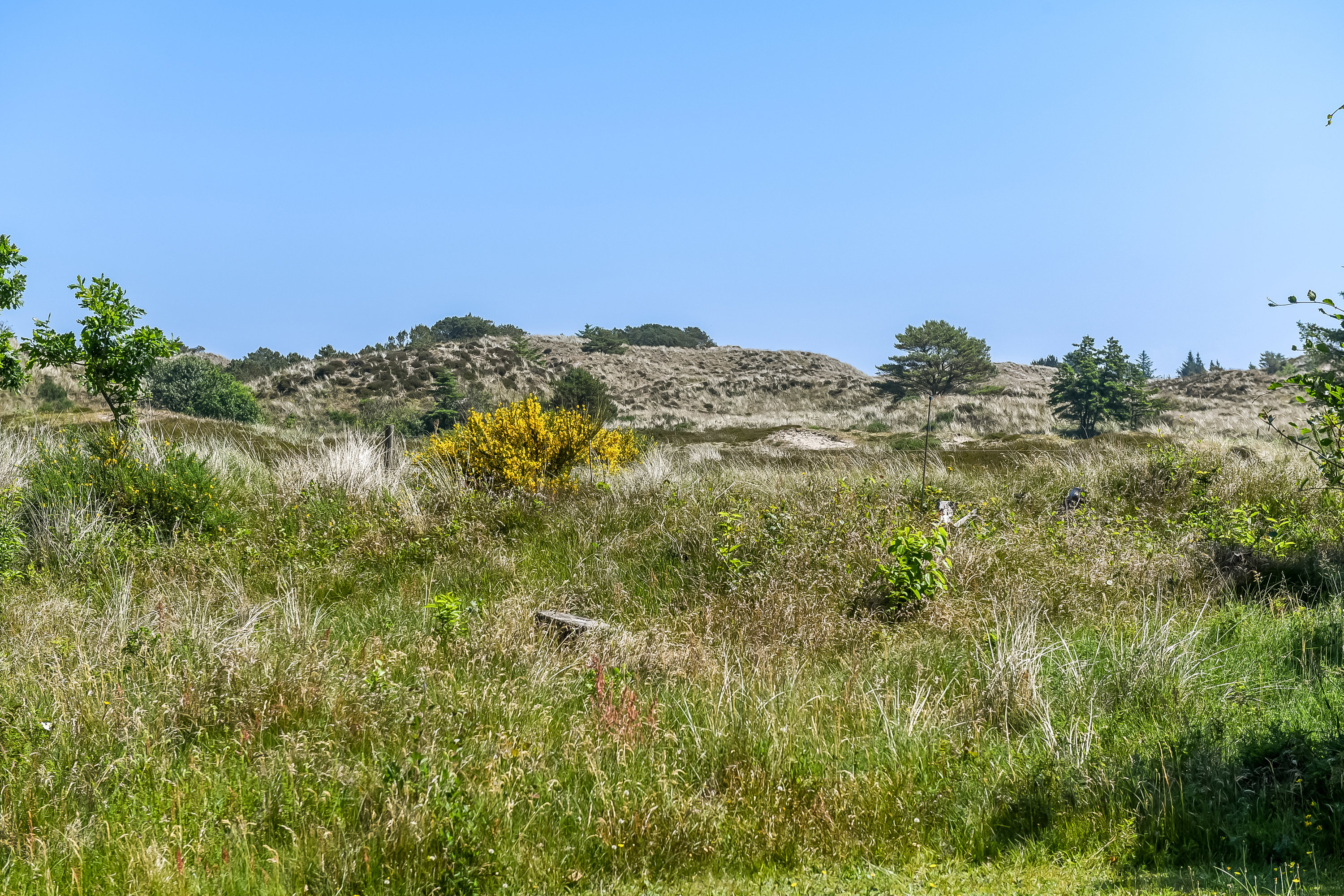 Gl Hovej 37, 6857 Blåvand