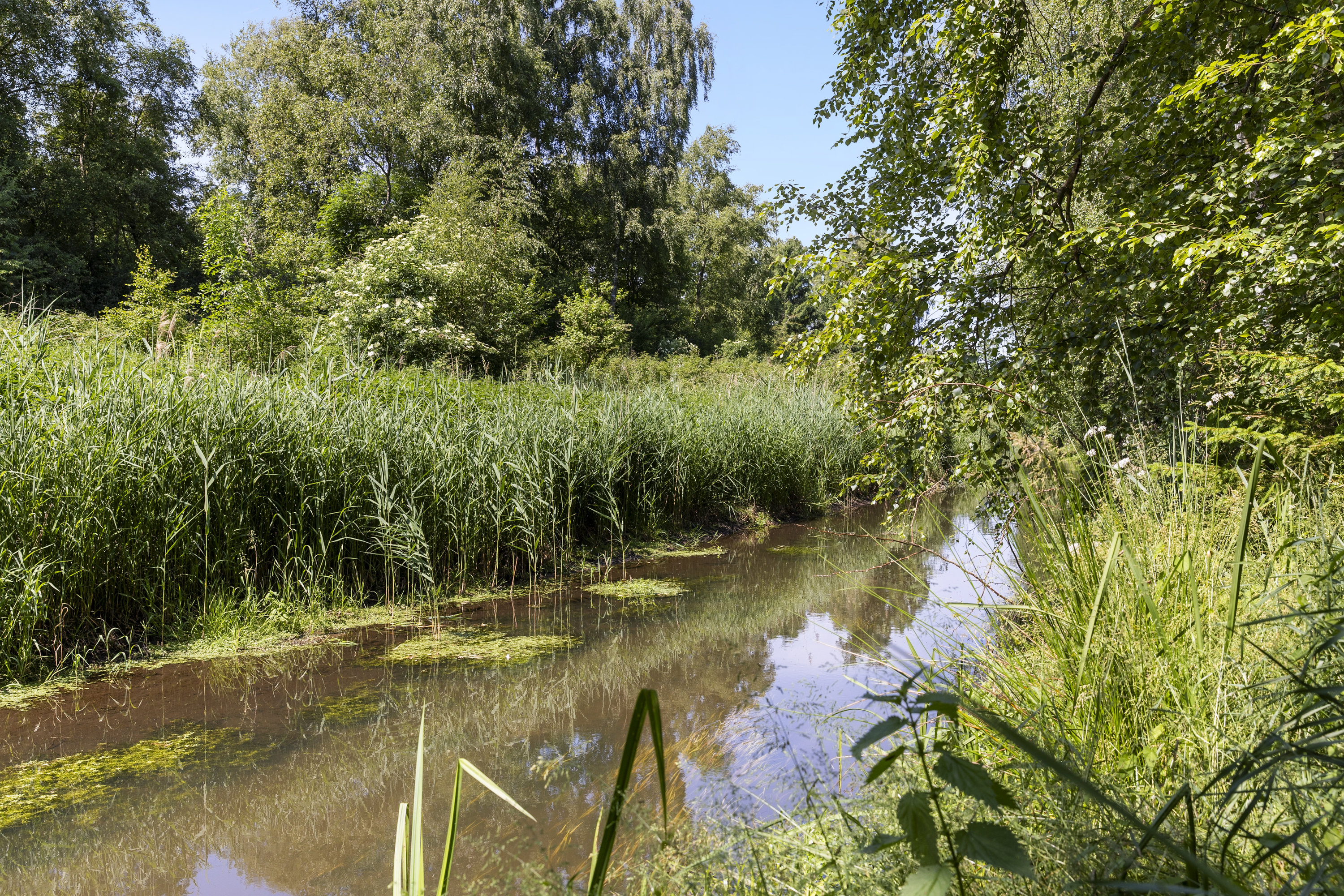 Fremhævet område billede i fuldskærmstilstand. Billede af Granbakkevej 33, Assentorp, 4295 Stenlille