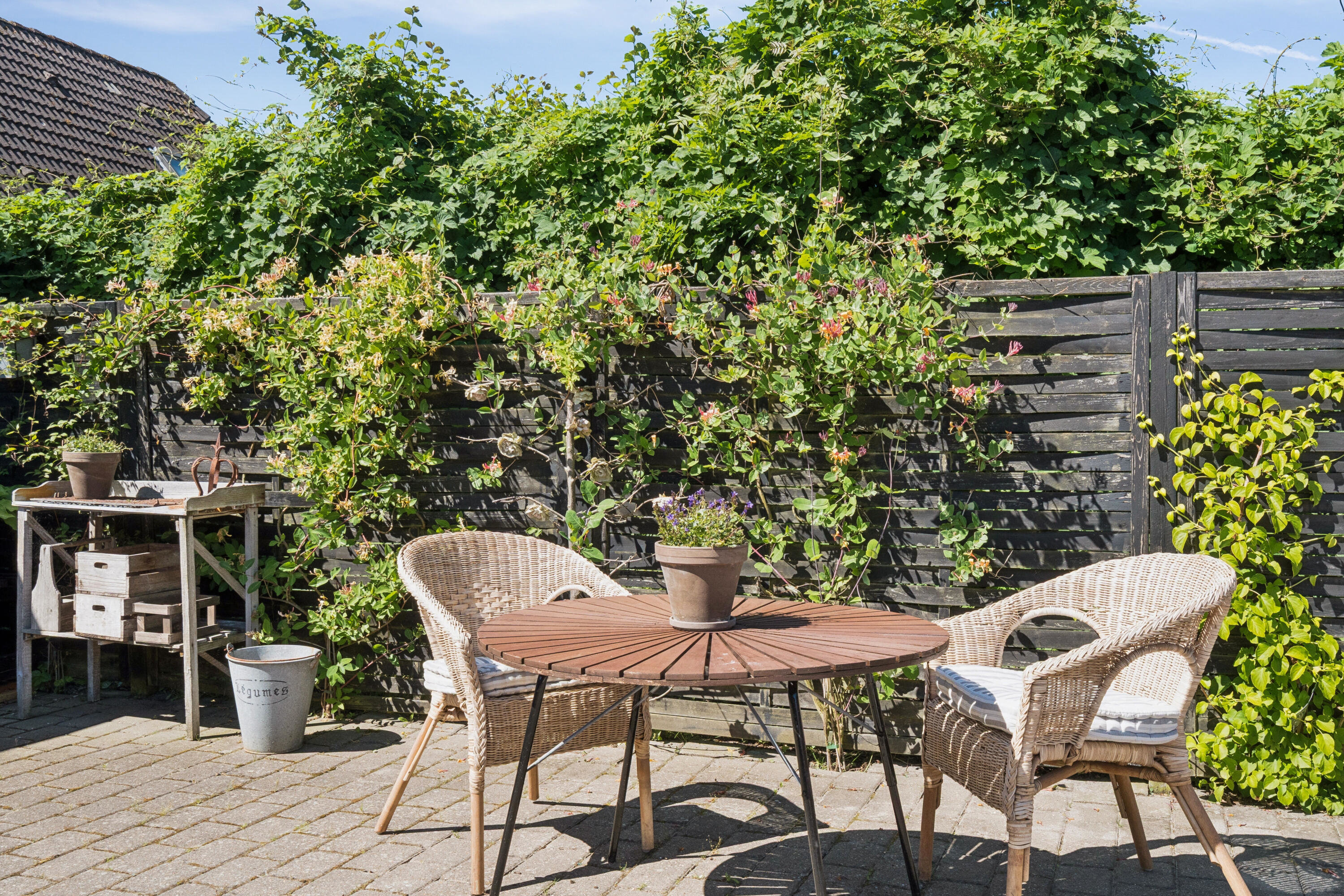 Fremhævet terrasse billede i fuldskærmstilstand. Billede af Sønder Alle 21, 9000 Aalborg