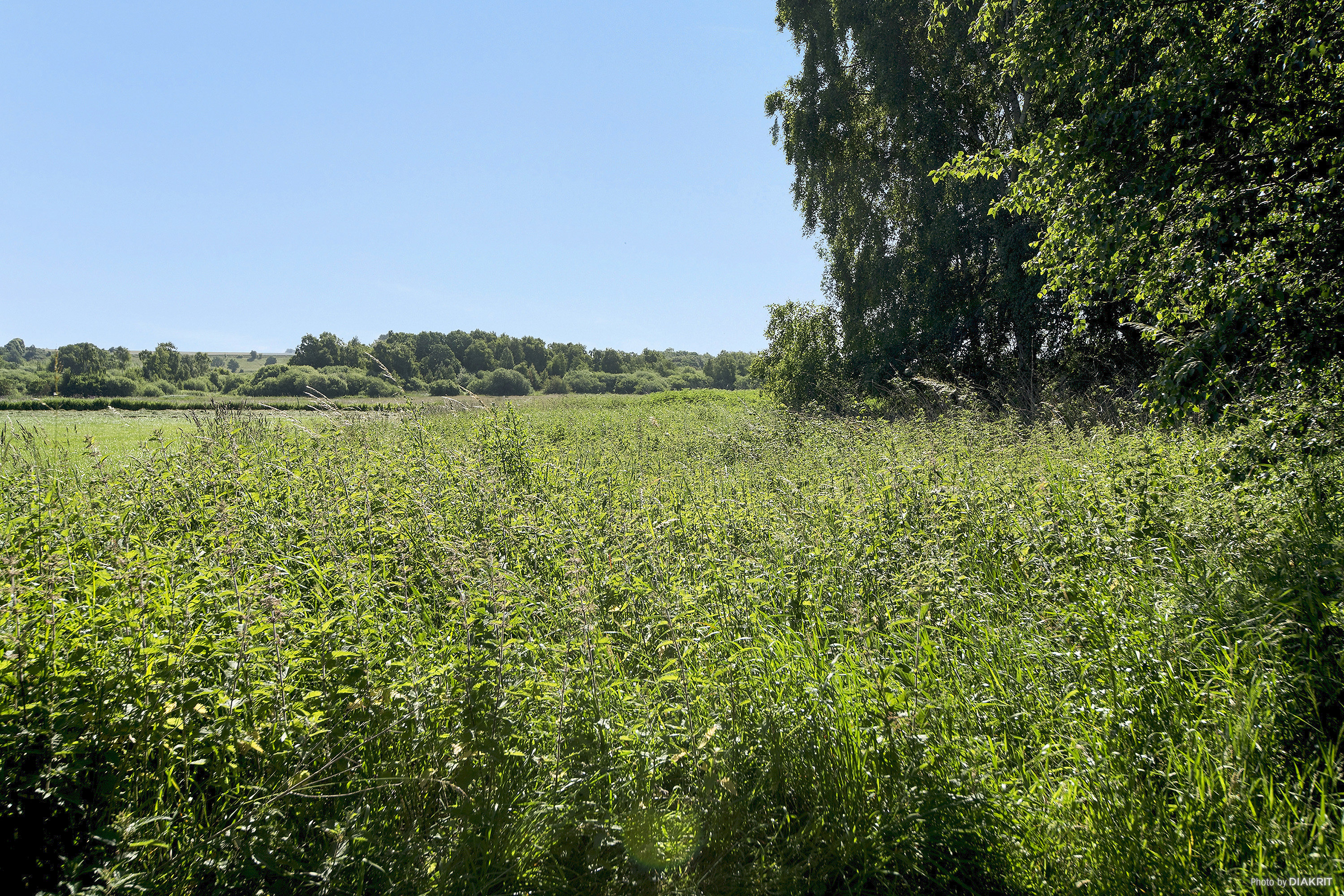 Fremhævet ejendommen billede i fuldskærmstilstand. Billede af Morsholt Mosevej 1, Morsholt, 8300 Odder