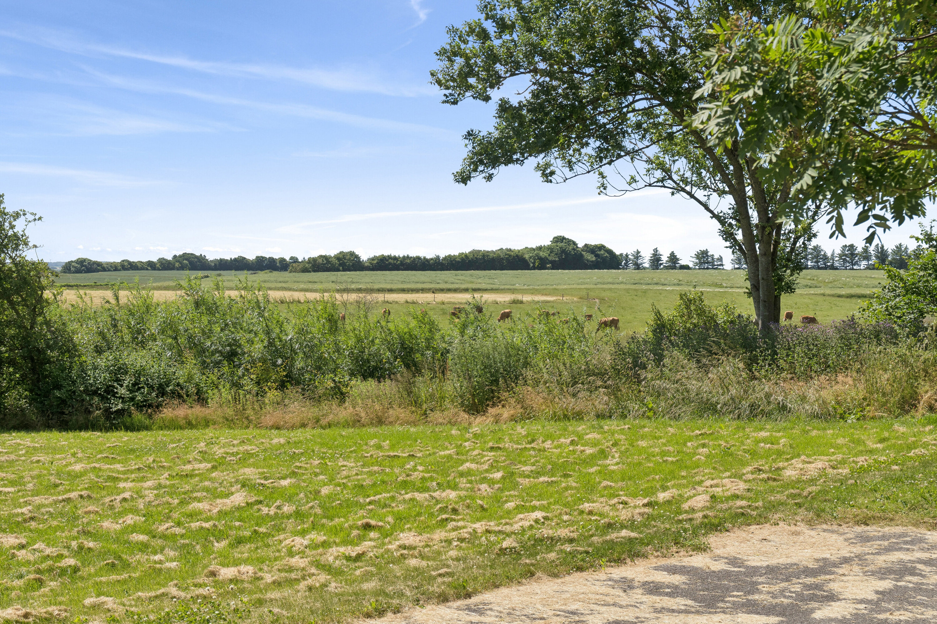 Fremhævet set fra haven billede i fuldskærmstilstand. Billede af Gudnæsvej 12, 7755 Bedsted Thy