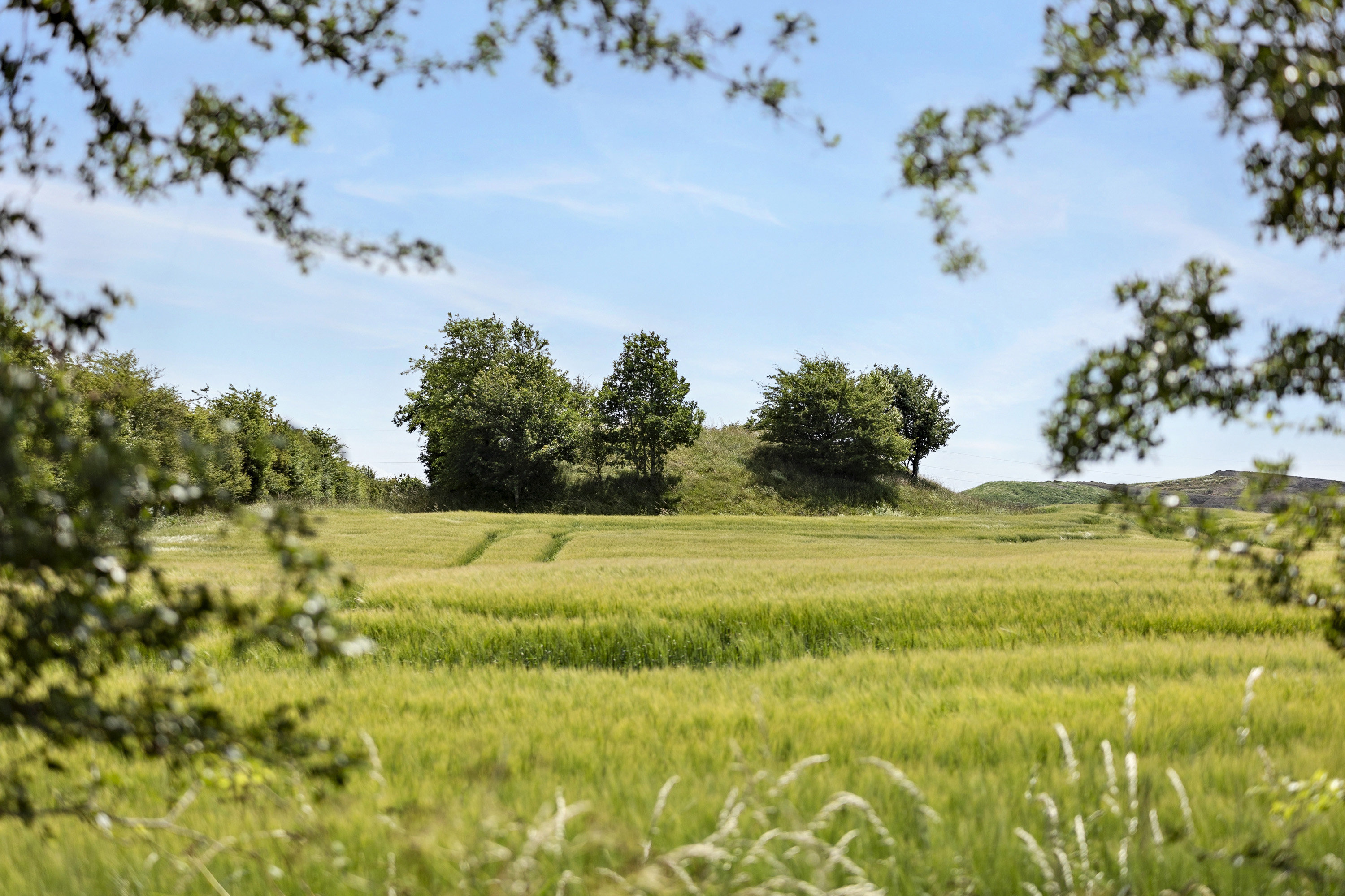 Bredhøjvej 12, 6392 Bolderslev