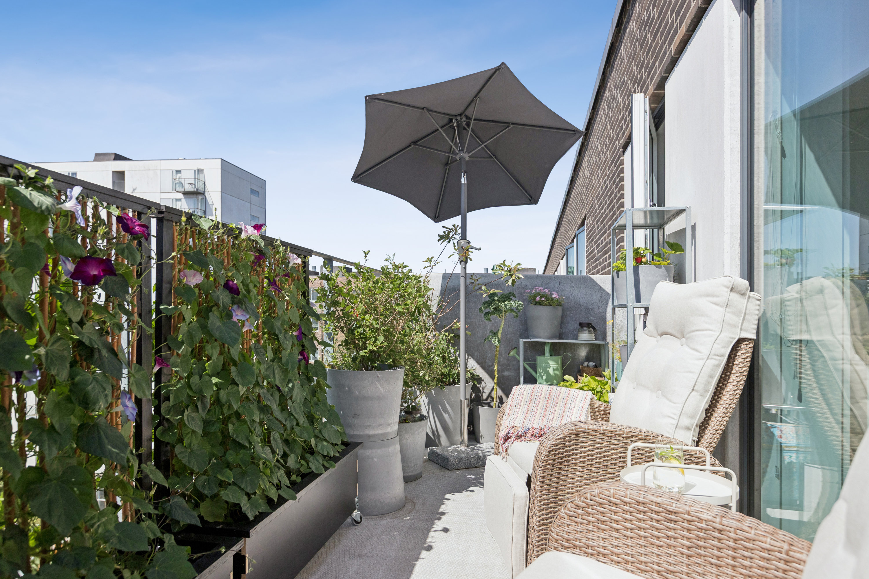 Fremhævet terrasse billede i fuldskærmstilstand. Billede af C.F. Møllers Allé 2C, 7. th., 2300 København S