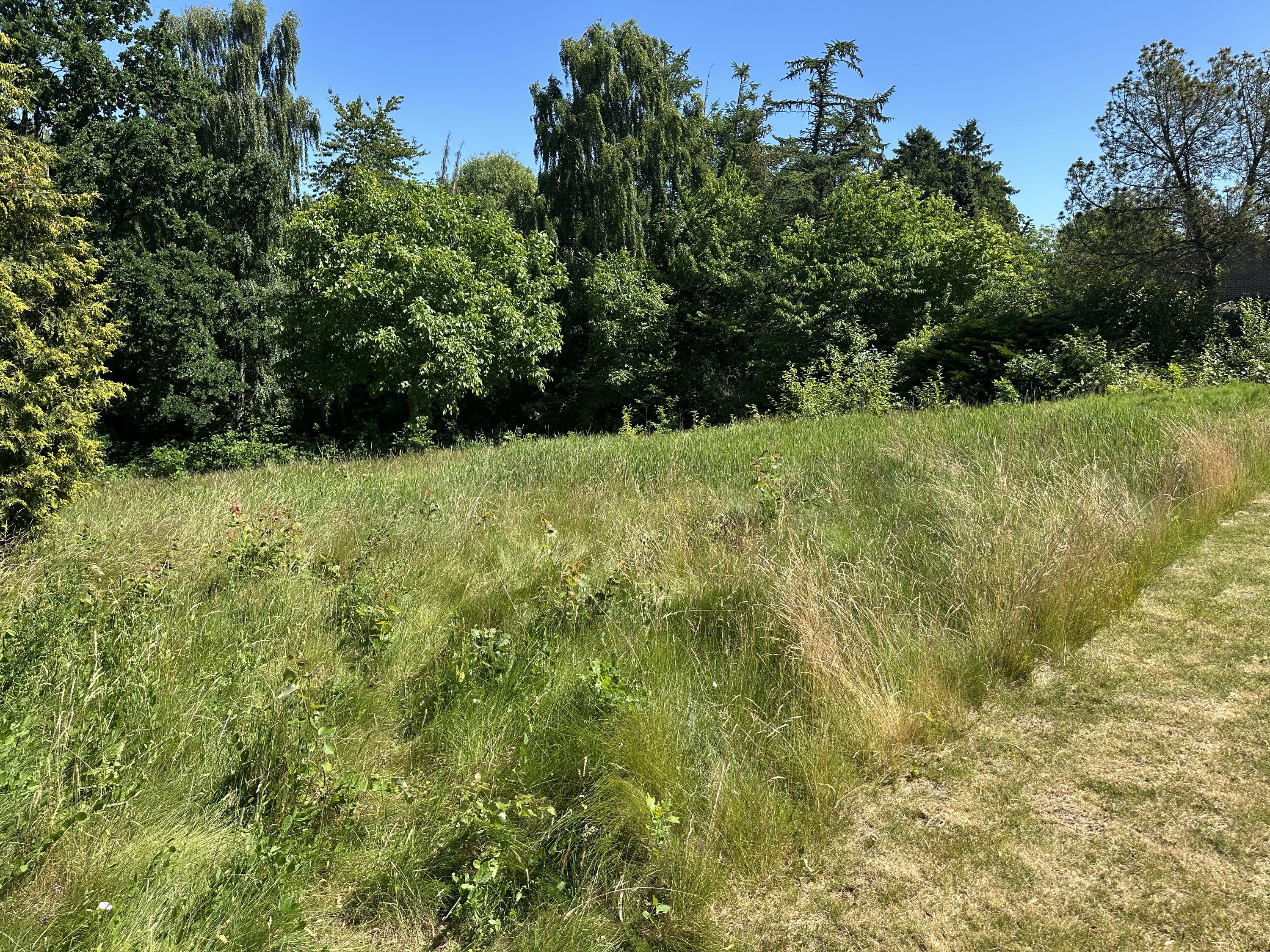 Mosehøjvej 5A, 2920 Charlottenlund