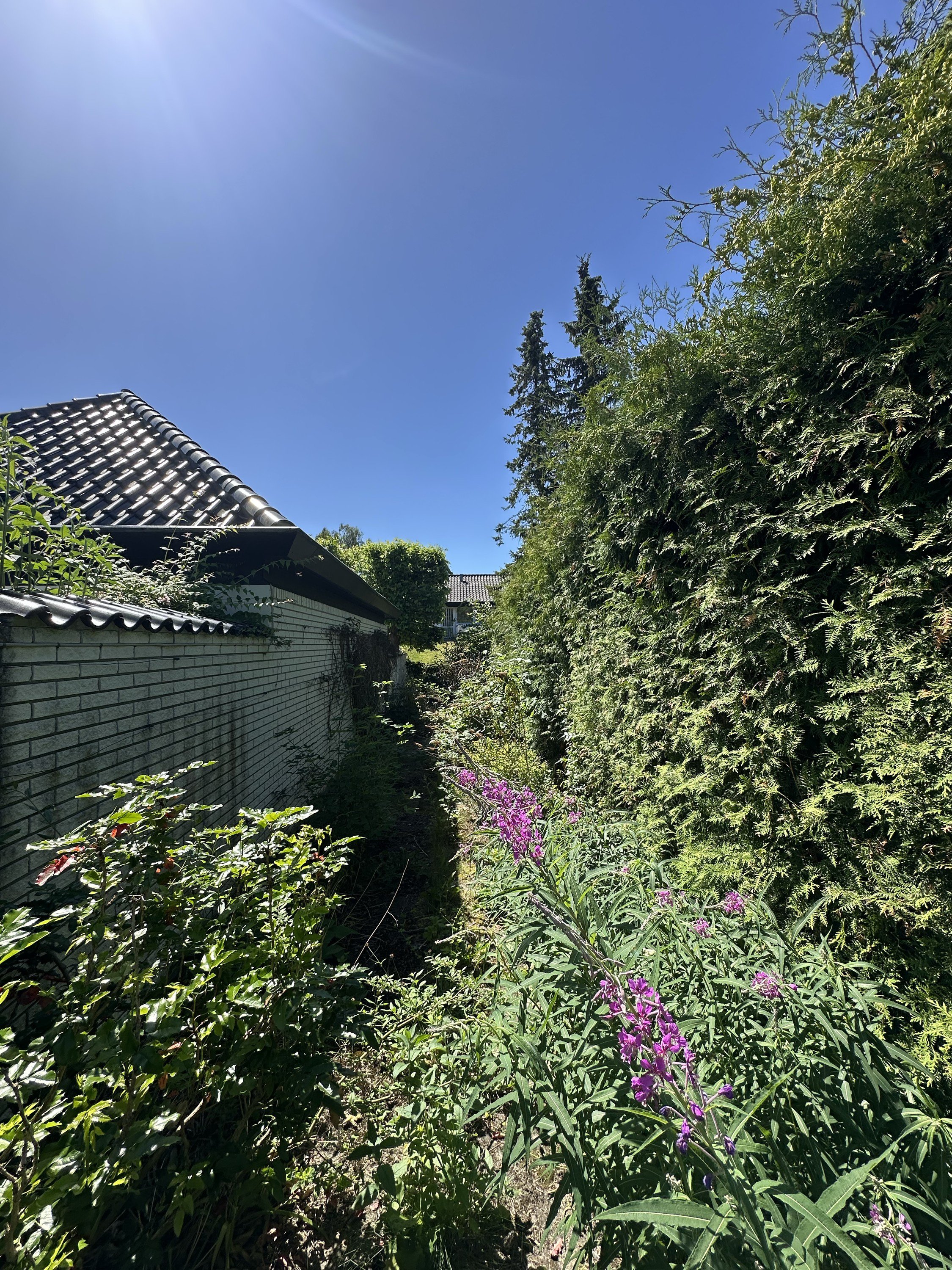 Fremhævet  billede i fuldskærmstilstand. Billede af Mosehøjvej 5A, 2920 Charlottenlund