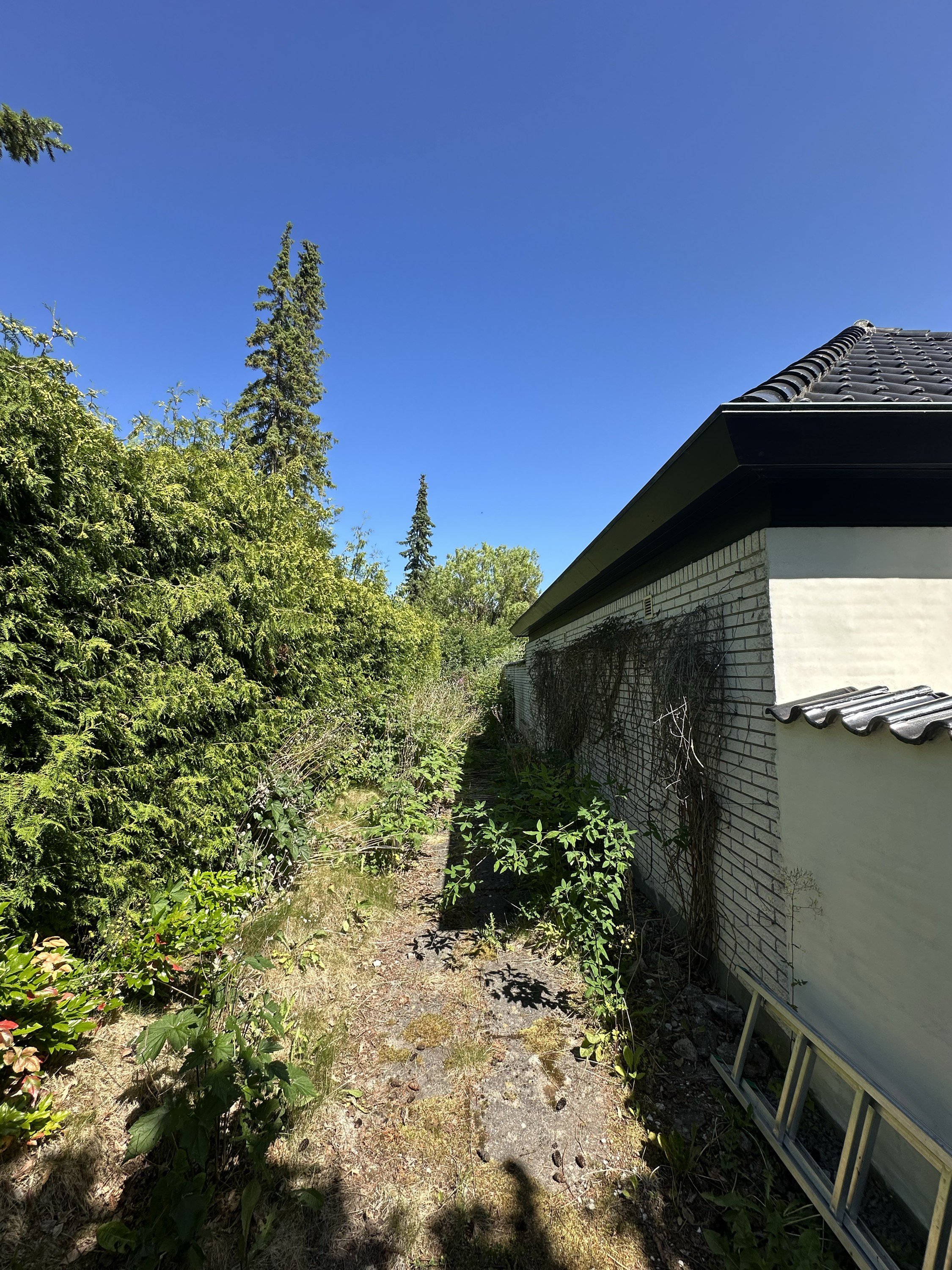 Fremhævet  billede i fuldskærmstilstand. Billede af Mosehøjvej 5A, 2920 Charlottenlund