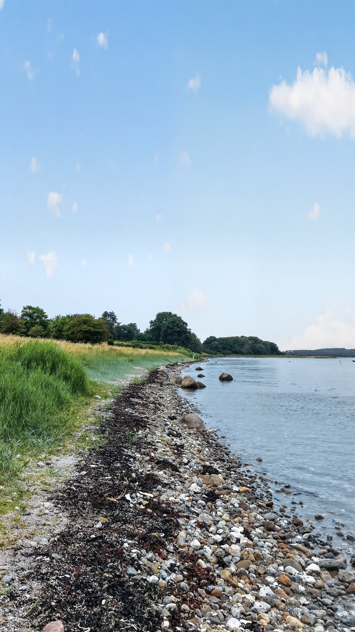 Fremhævet område billede i fuldskærmstilstand. Billede af Løserup Strandvej 4, Løserup, 4300 Holbæk