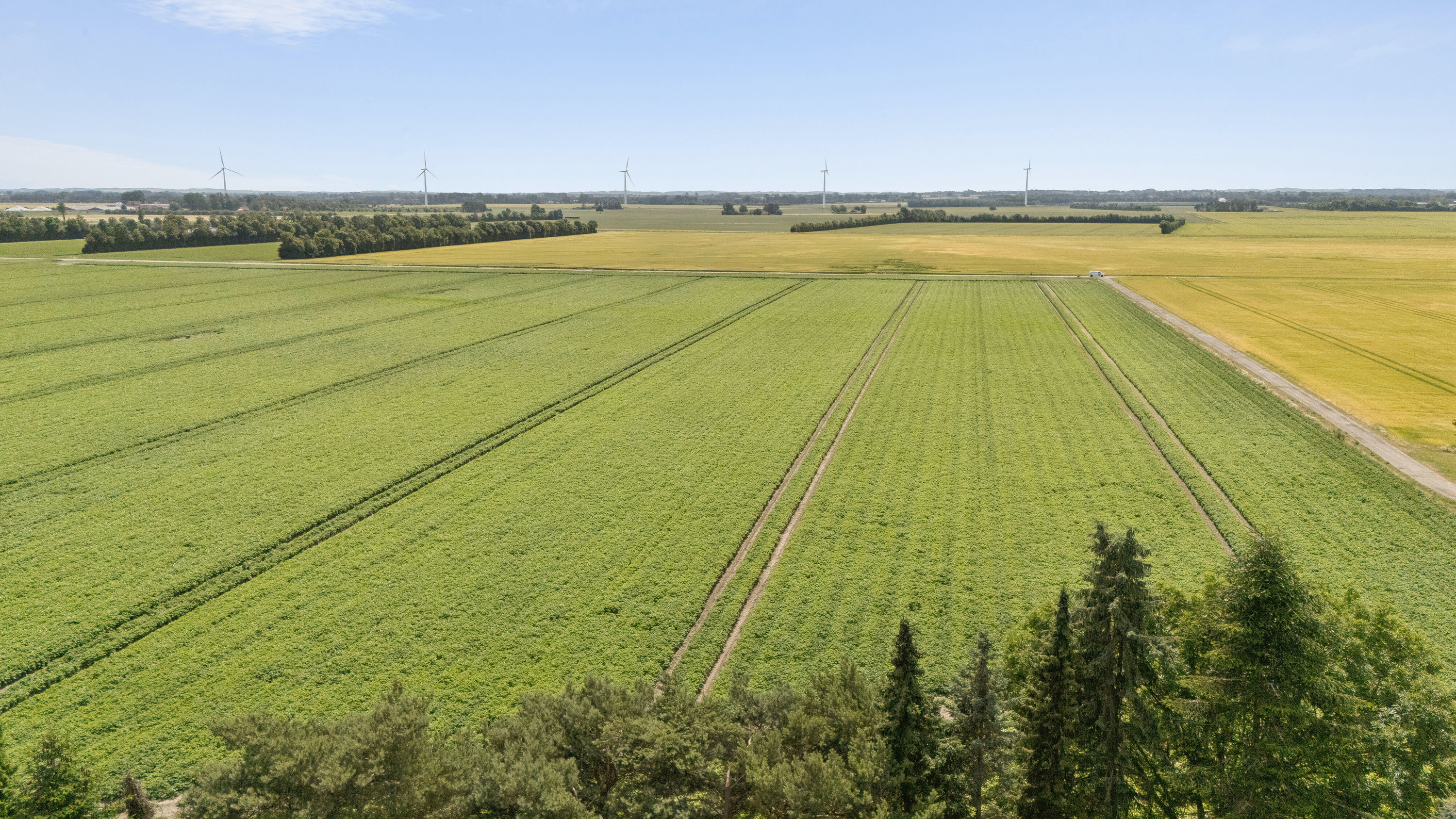 Fremhævet udendørs billede i fuldskærmstilstand. Billede af Kratvej 22, Lammefjorden, 4571 Grevinge