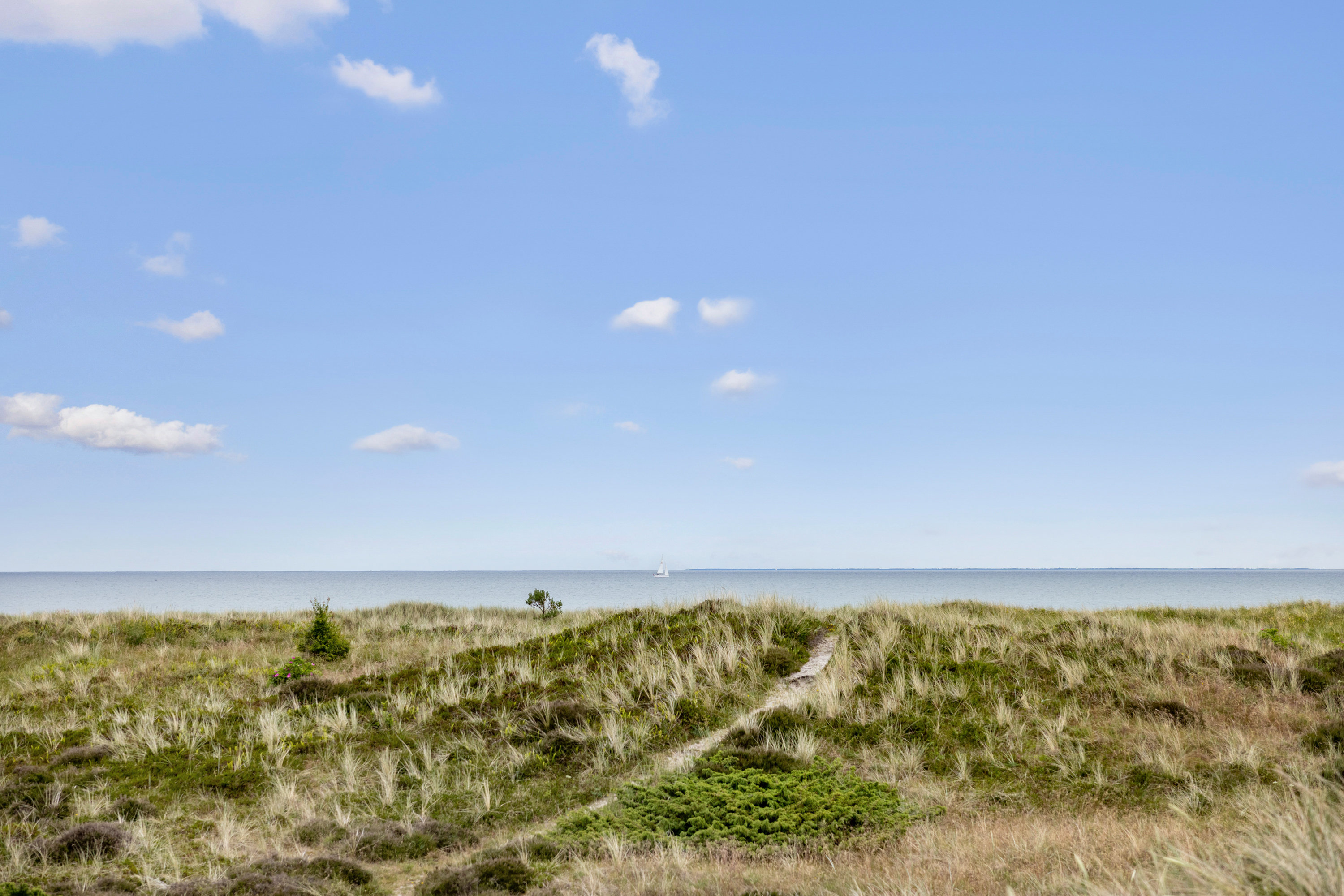 Fremhævet sti til havet billede i fuldskærmstilstand. Billede af Grævlingestien 8, Lyngså, 9300 Sæby