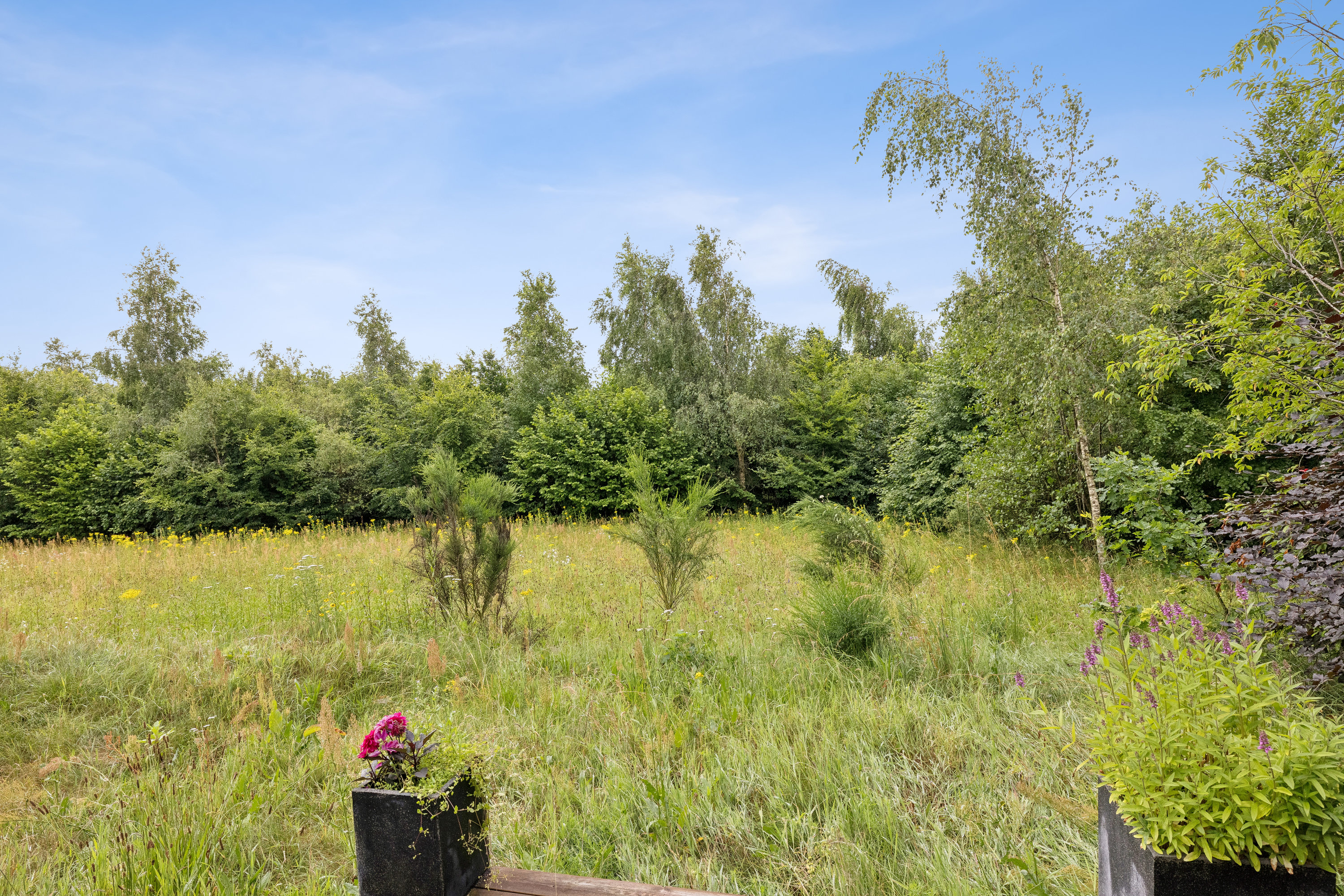 Fremhævet have billede i fuldskærmstilstand. Billede af Holstebrovej 225, Daugbjerg, 8800 Viborg