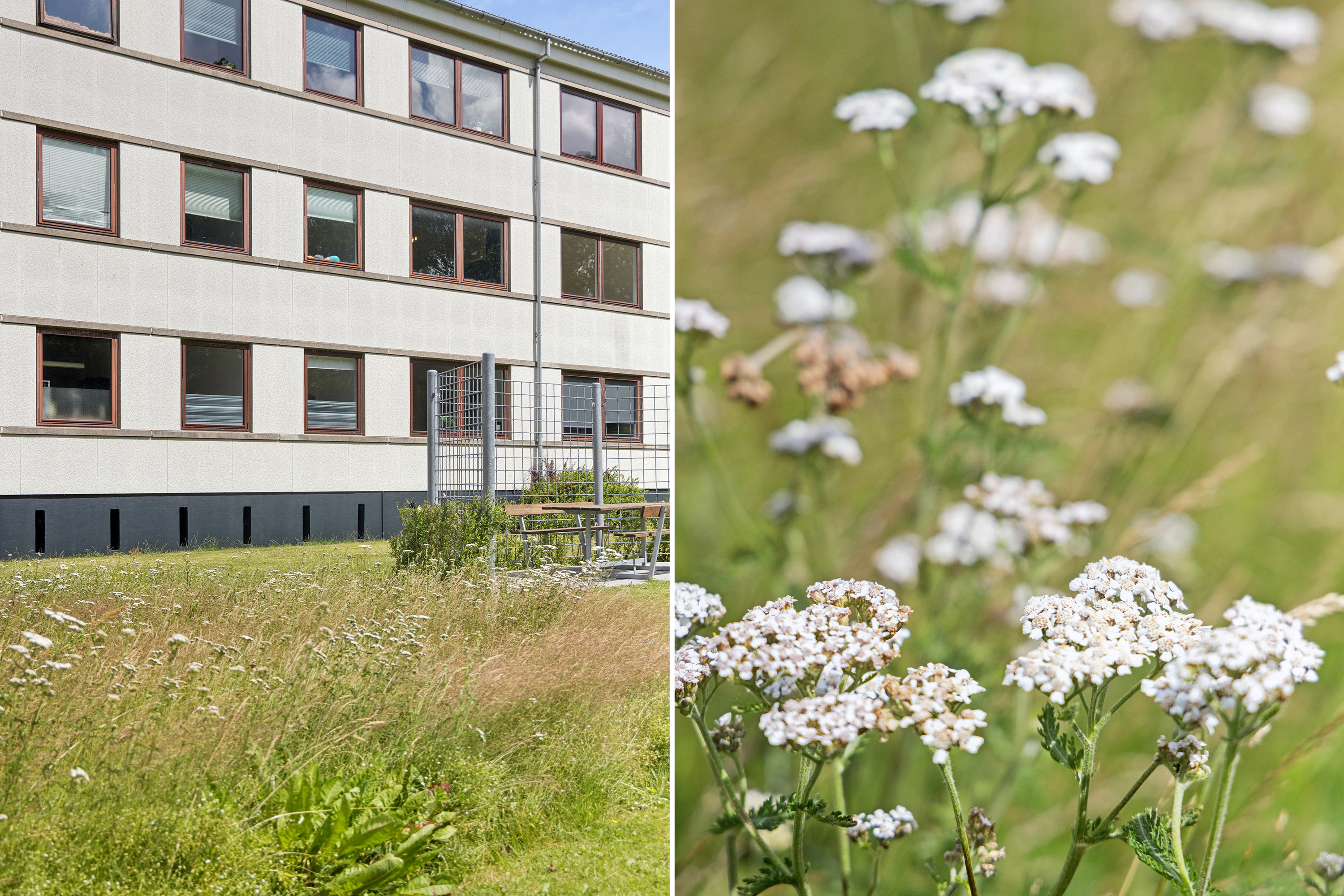 Fremhævet andet billede i fuldskærmstilstand. Billede af H. C. Andersens Vej 30, st. tv., 9000 Aalborg