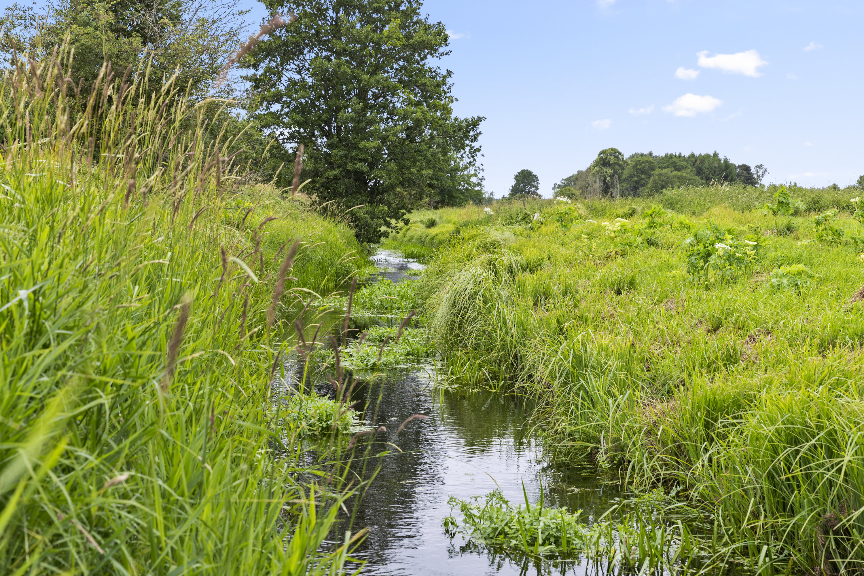 Fremhævet grund billede i fuldskærmstilstand. Billede af Skætholm 7, 4190 Munke Bjergby