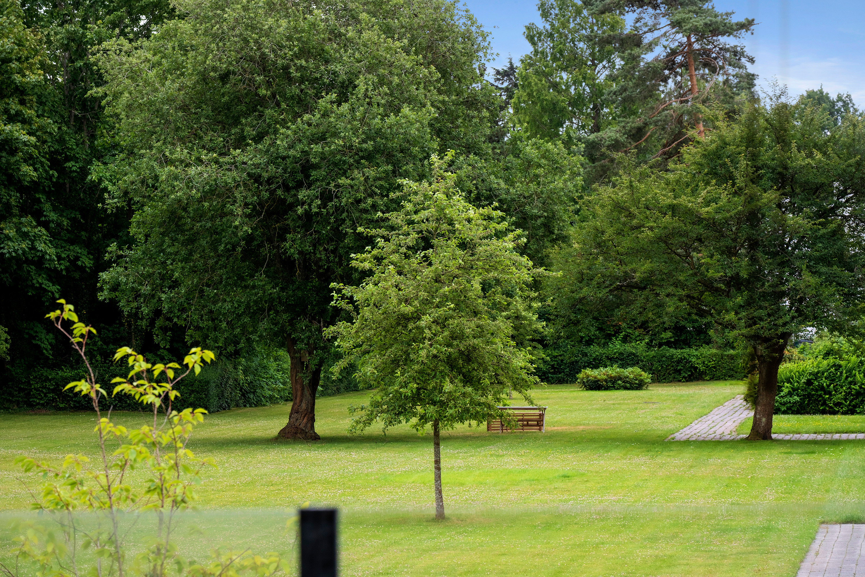 Fremhævet område billede i fuldskærmstilstand. Billede af Hørsholm Park 8, 1. mf., 2970 Hørsholm