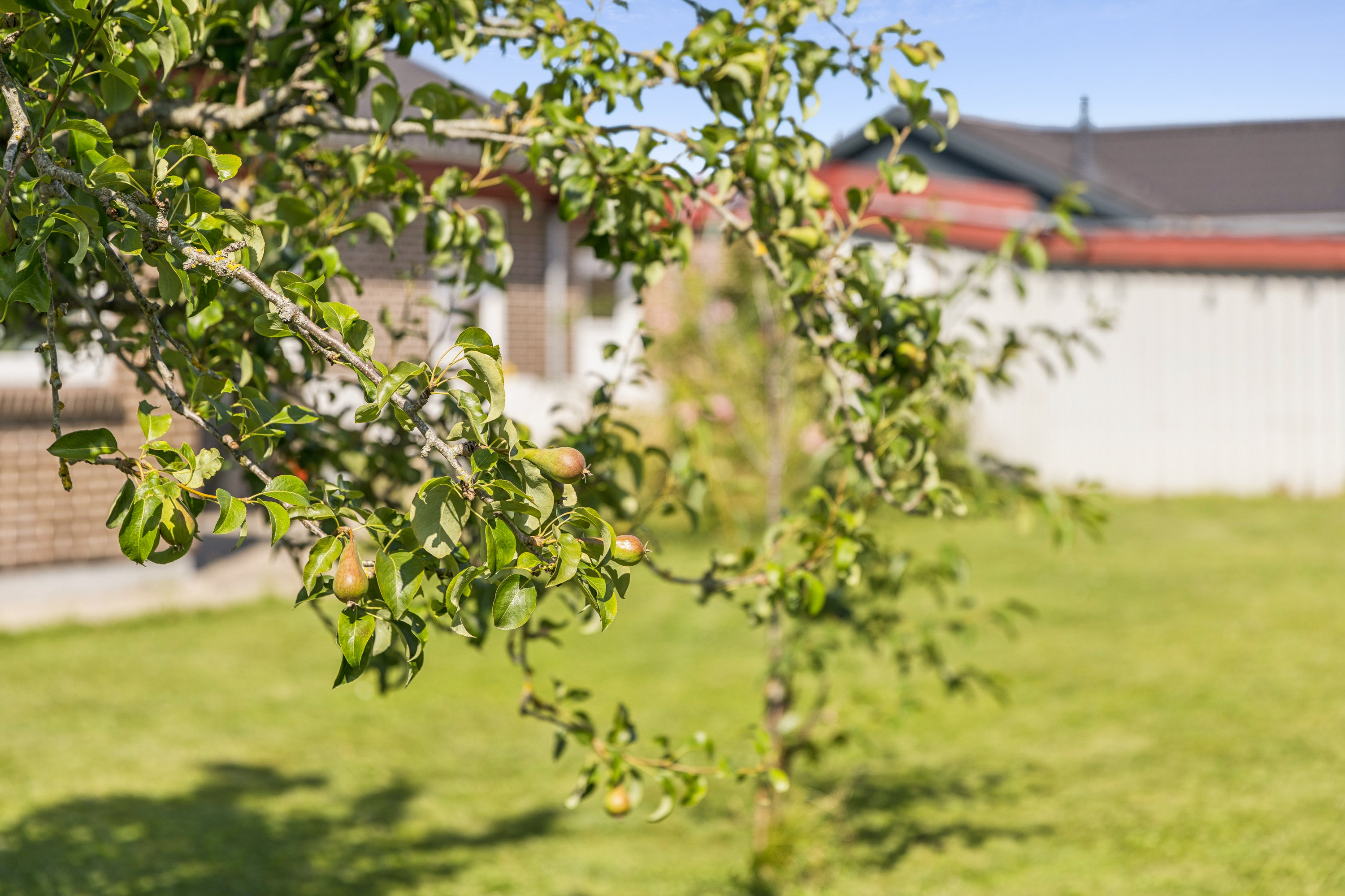 Fremhævet have billede i fuldskærmstilstand. Billede af Byparken 38, 8961 Allingåbro