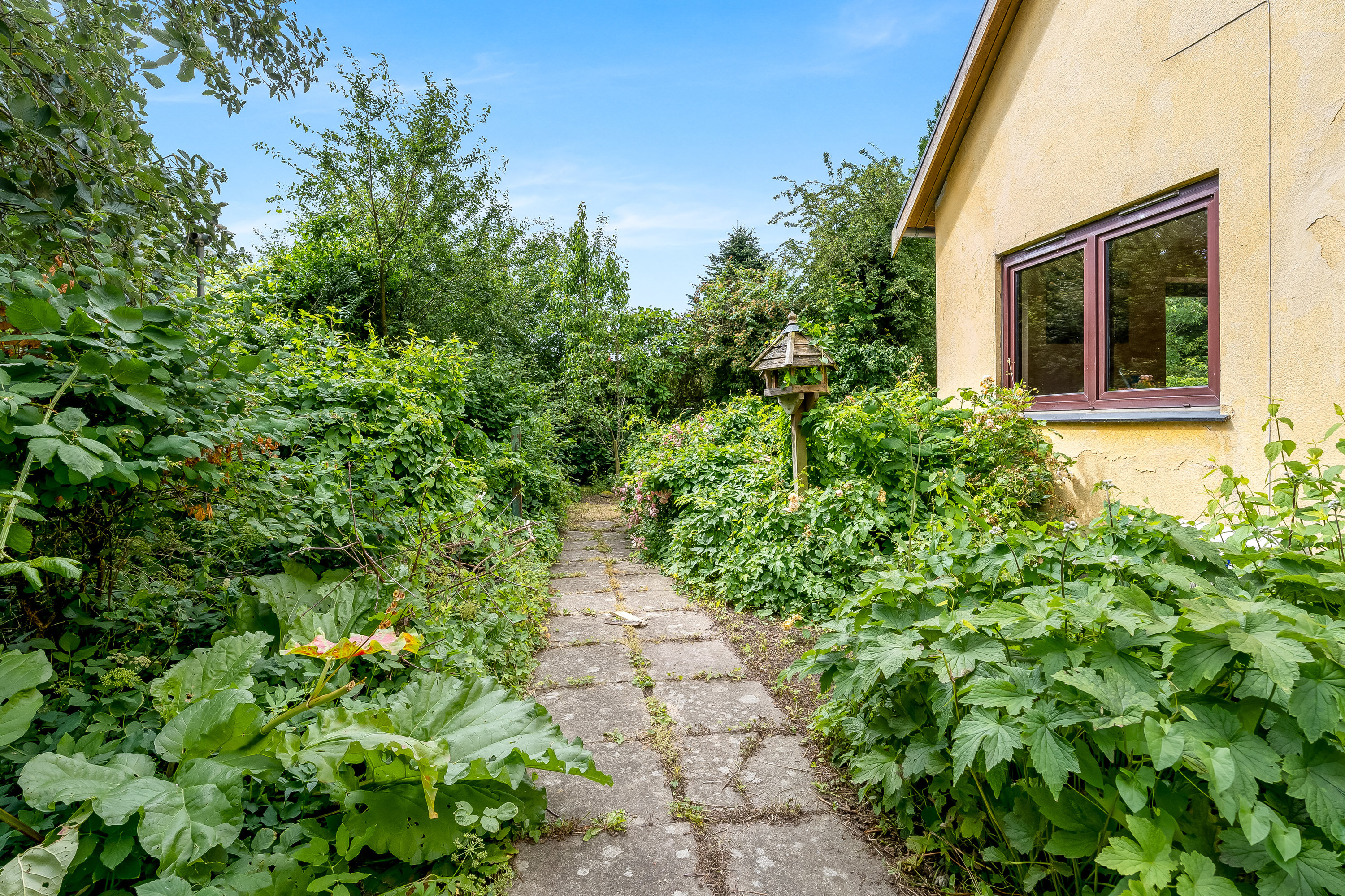 Fremhævet have billede i fuldskærmstilstand. Billede af Humlehaven 5, 4894 Øster Ulslev