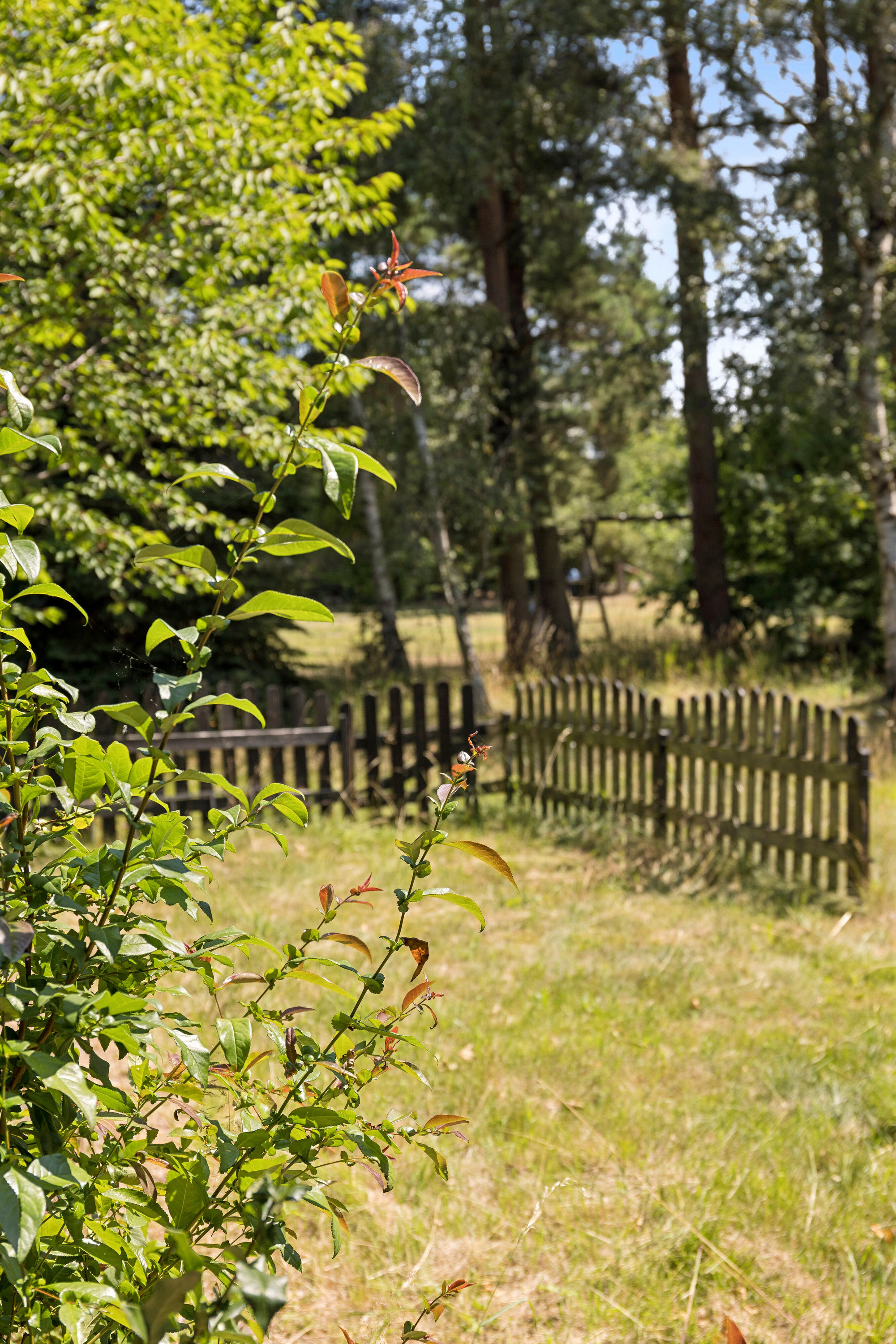 Fremhævet set fra haven billede i fuldskærmstilstand. Billede af Skovduevej 4, Gundestrup, 4571 Grevinge