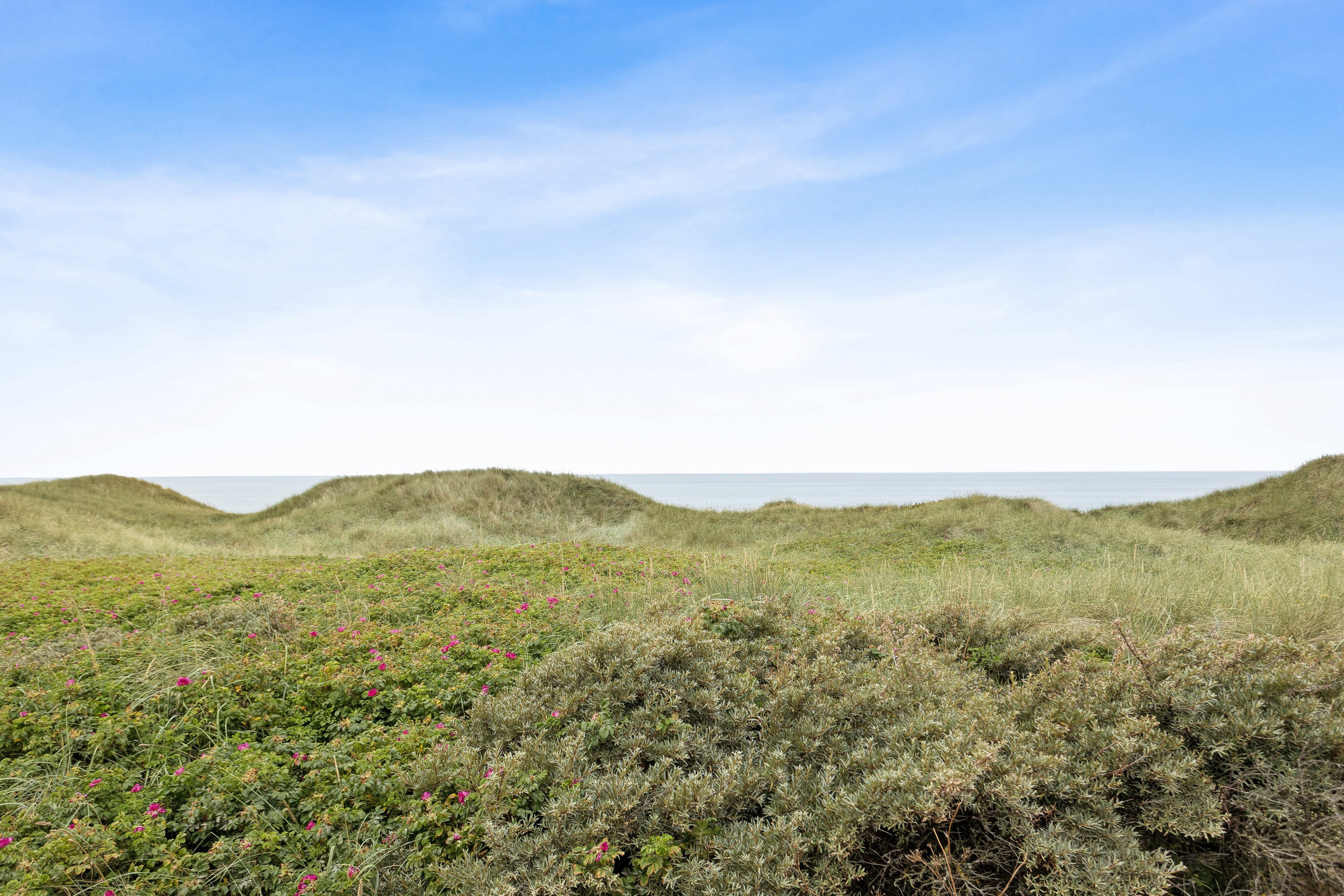 Hedvigsvej 3, Munkens Klit, 9480 Løkken