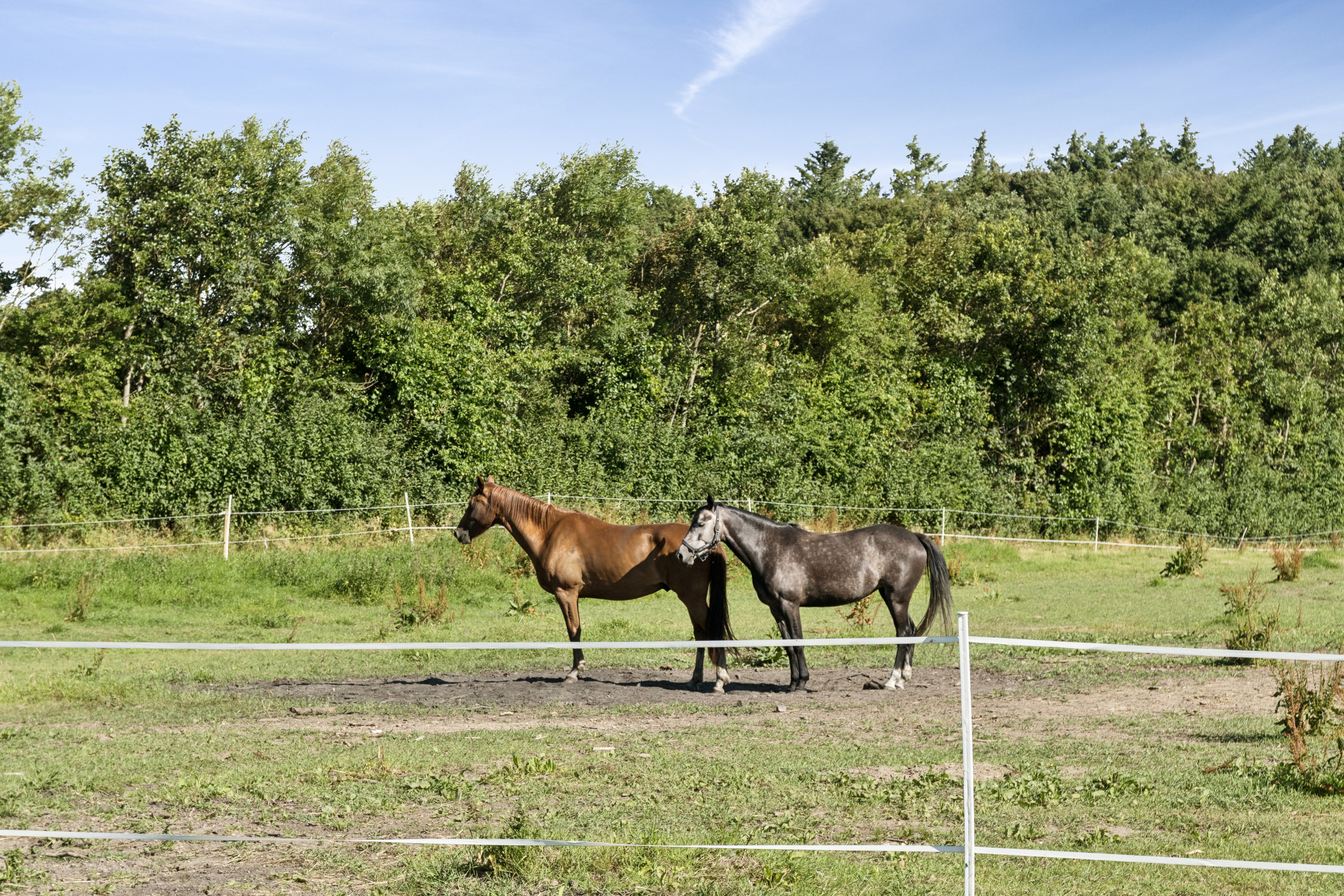 Fremhævet andet billede i fuldskærmstilstand. Billede af Næssundvej 90, Lødderup, 7900 Nykøbing M